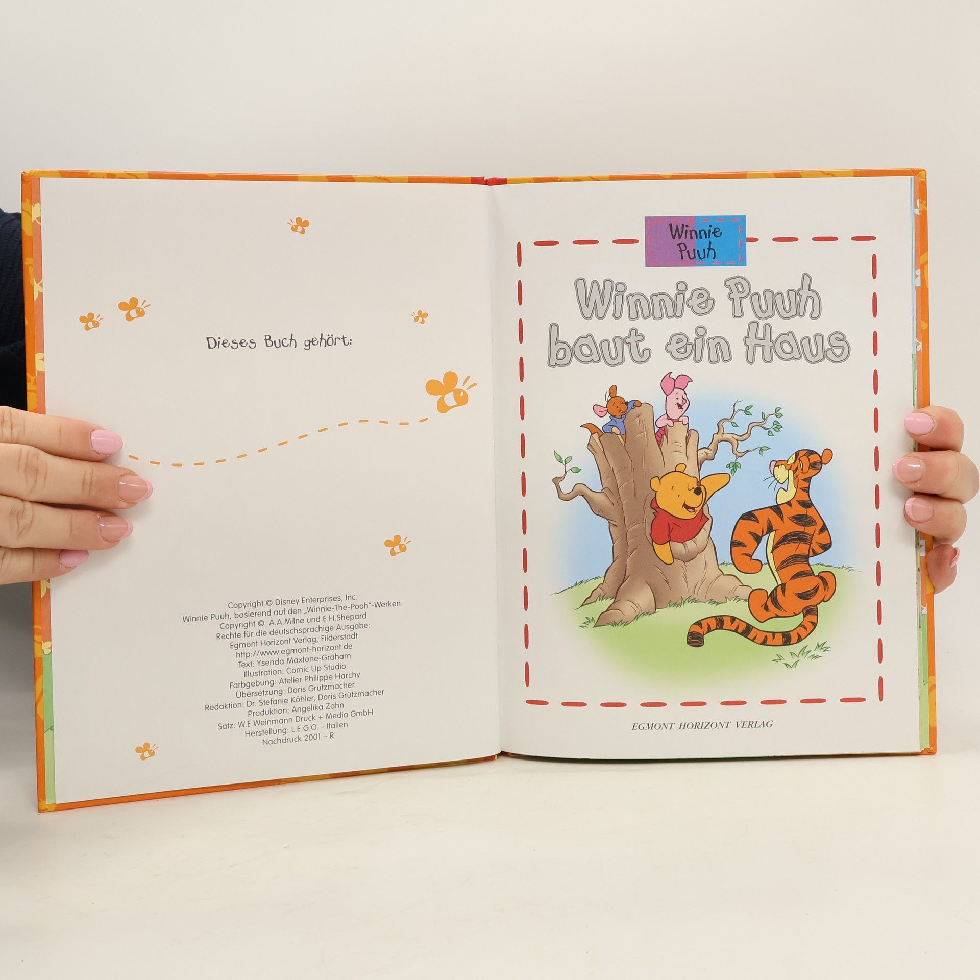 Autorenkollektiv Winnie Puuh baut ein Haus