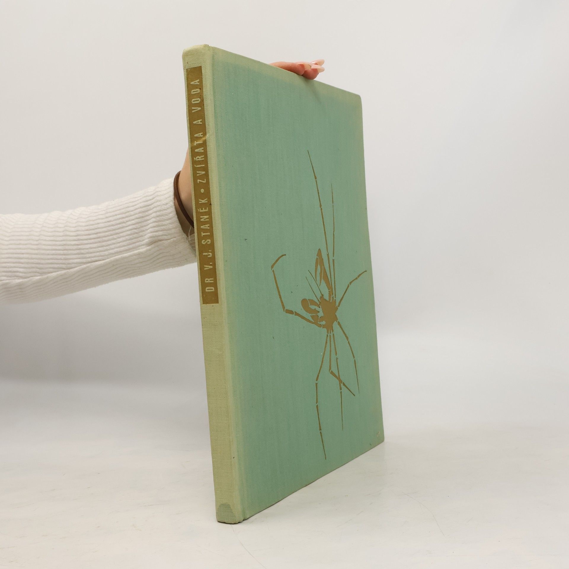 Václav Jan Staněk Zvířata a voda