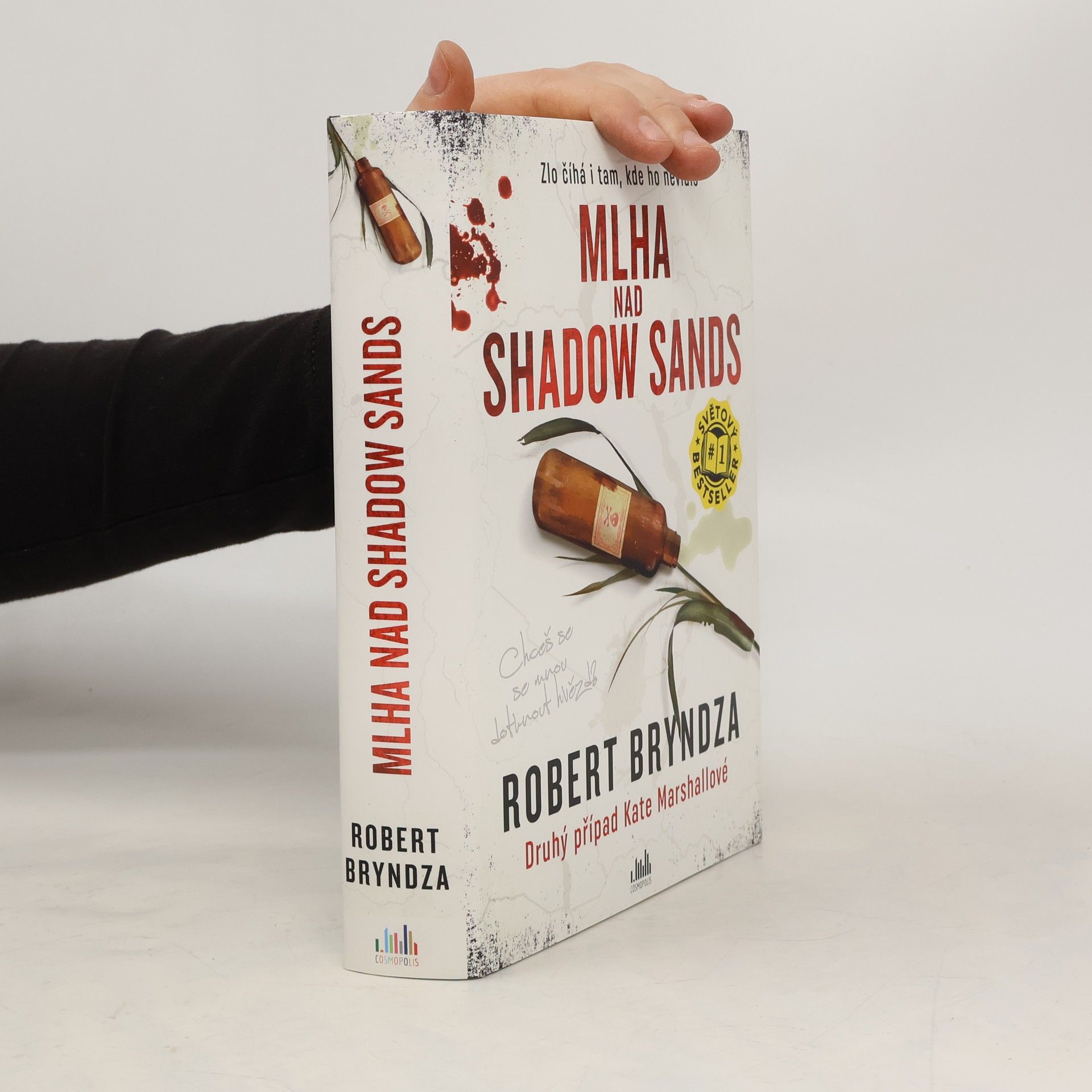 Robert Bryndza Mlha nad Shadow Sands