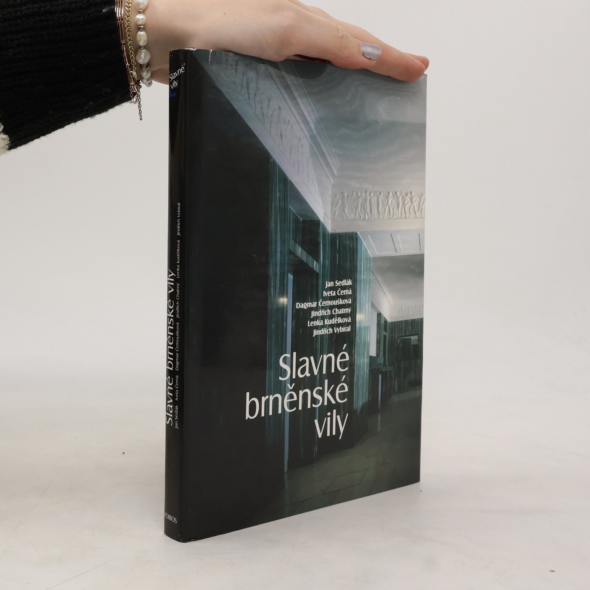 Jan Sedlák Slavné brněnské vily