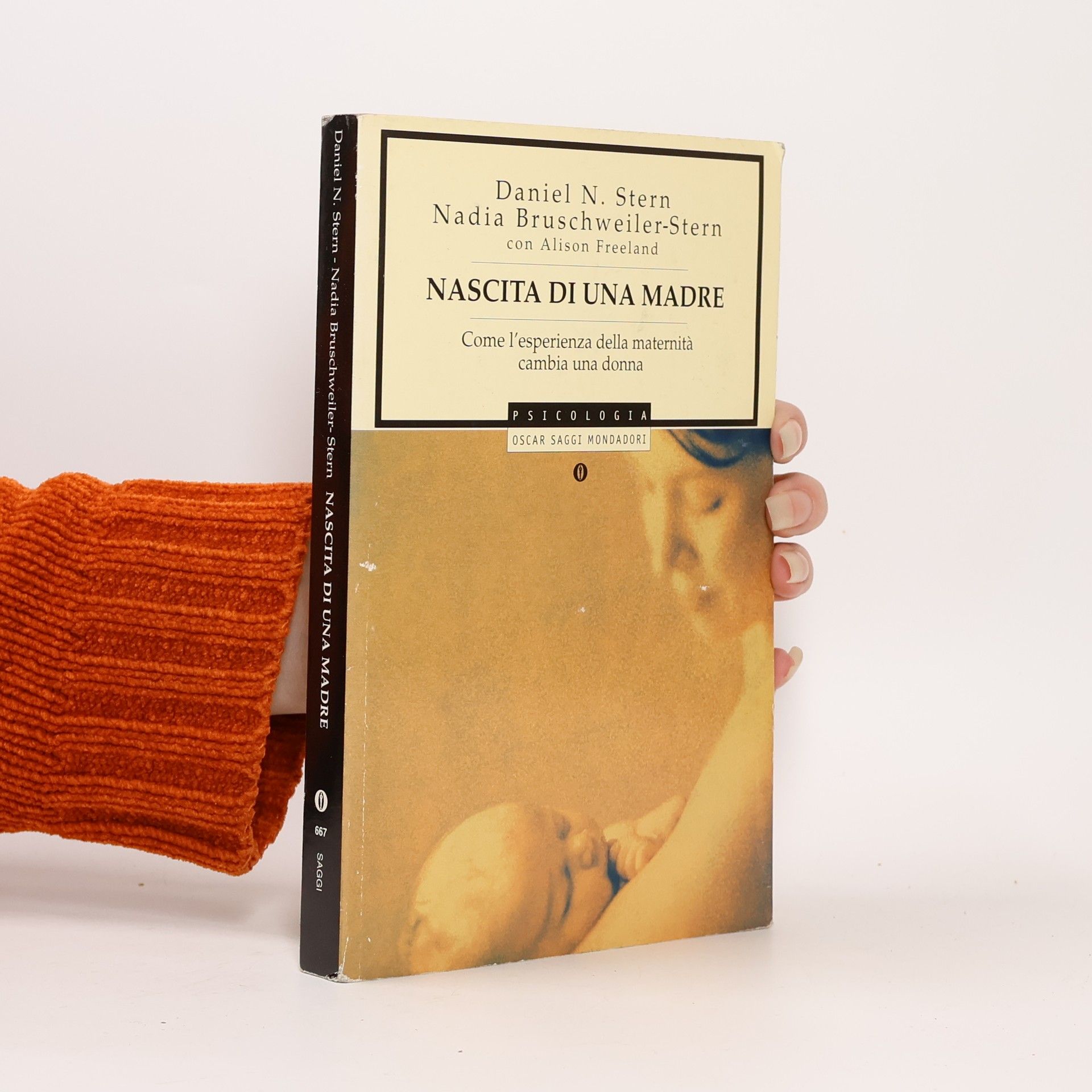 Daniel Stern Nascita di una madre