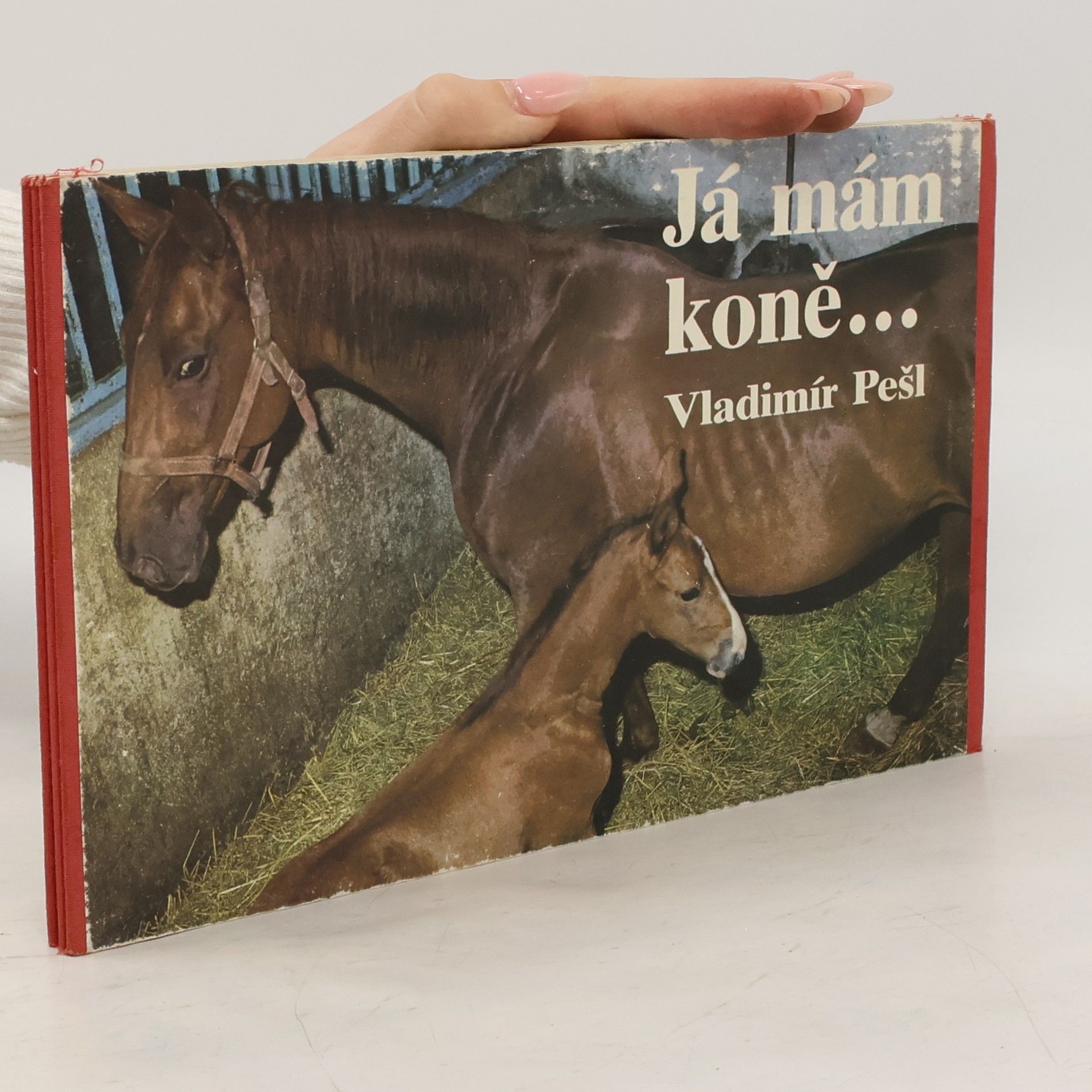 Vladimír Pešl Já mám koně...