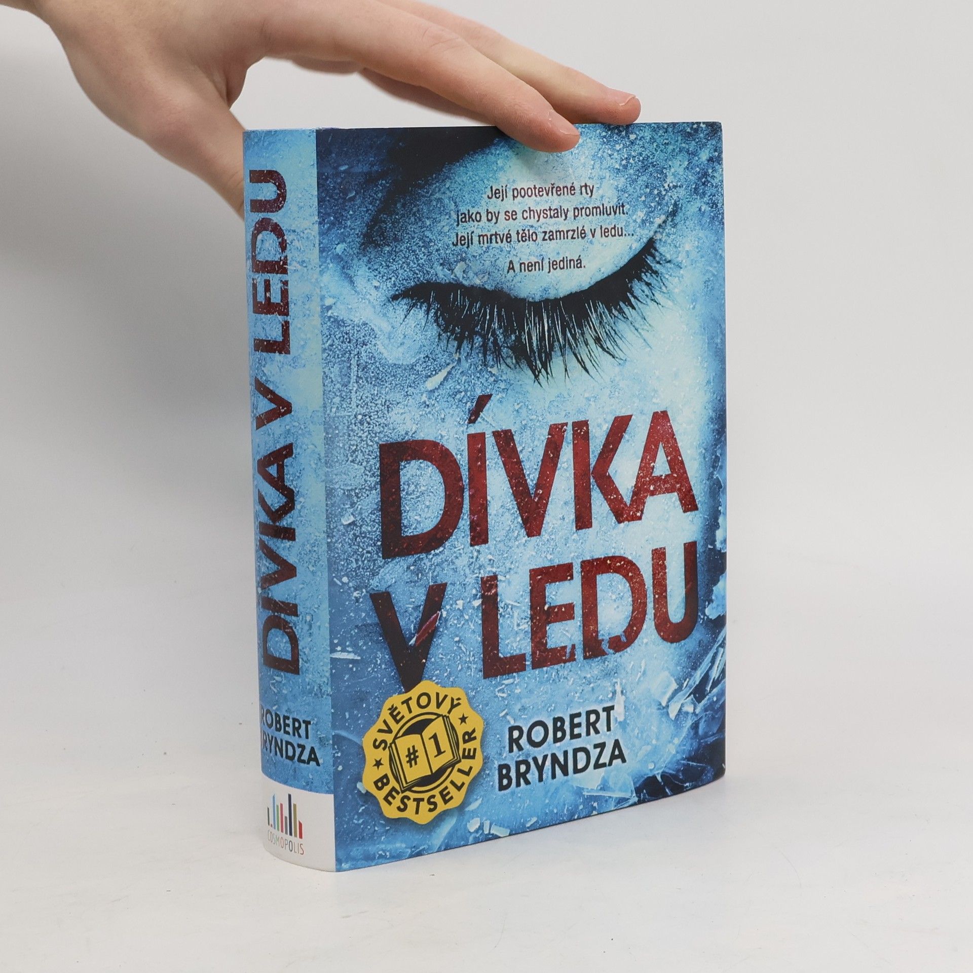 Robert Bryndza Dívka v ledu