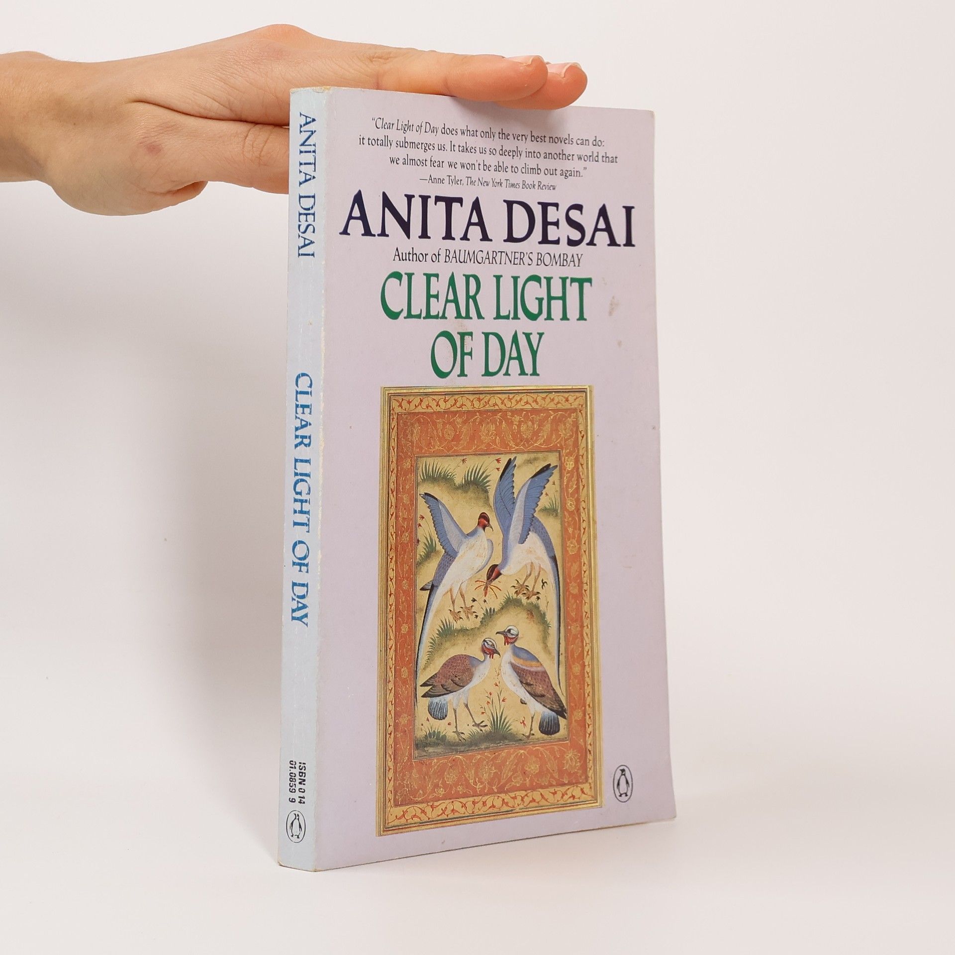 Anita Desai Clear Light of Day