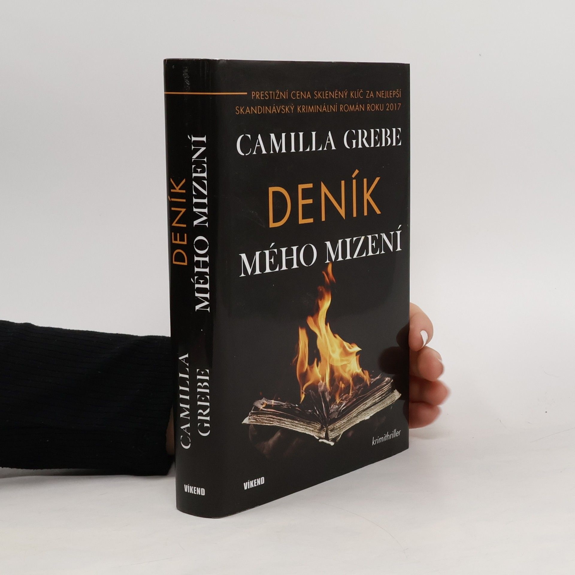 Camilla Grebe Deník mého mizení