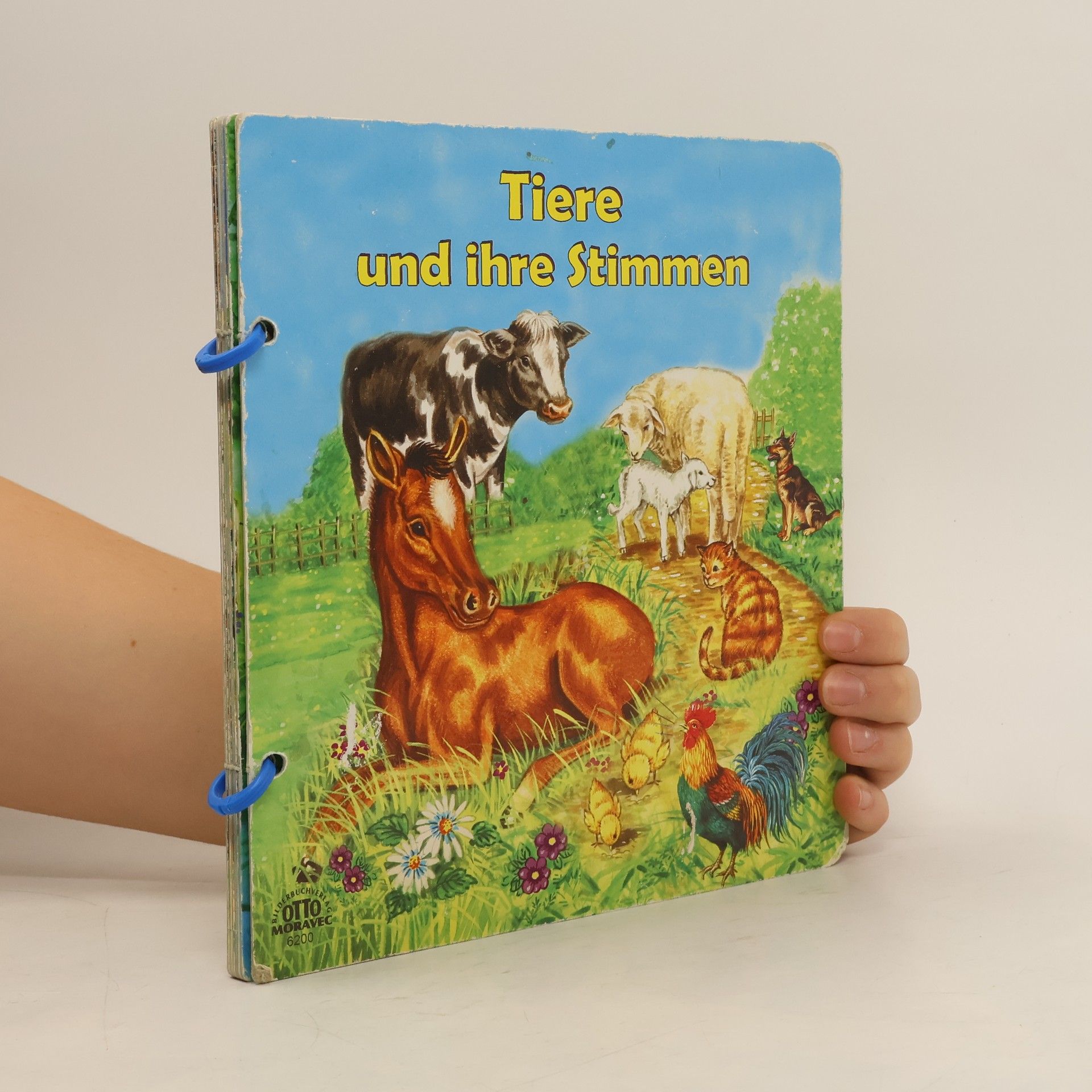 Kolektiv autorů Tiere und ihre Stimmen