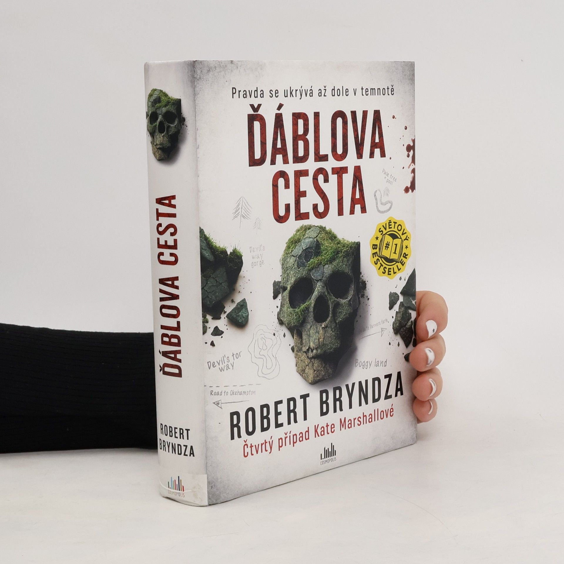 Robert Bryndza Ďáblova cesta