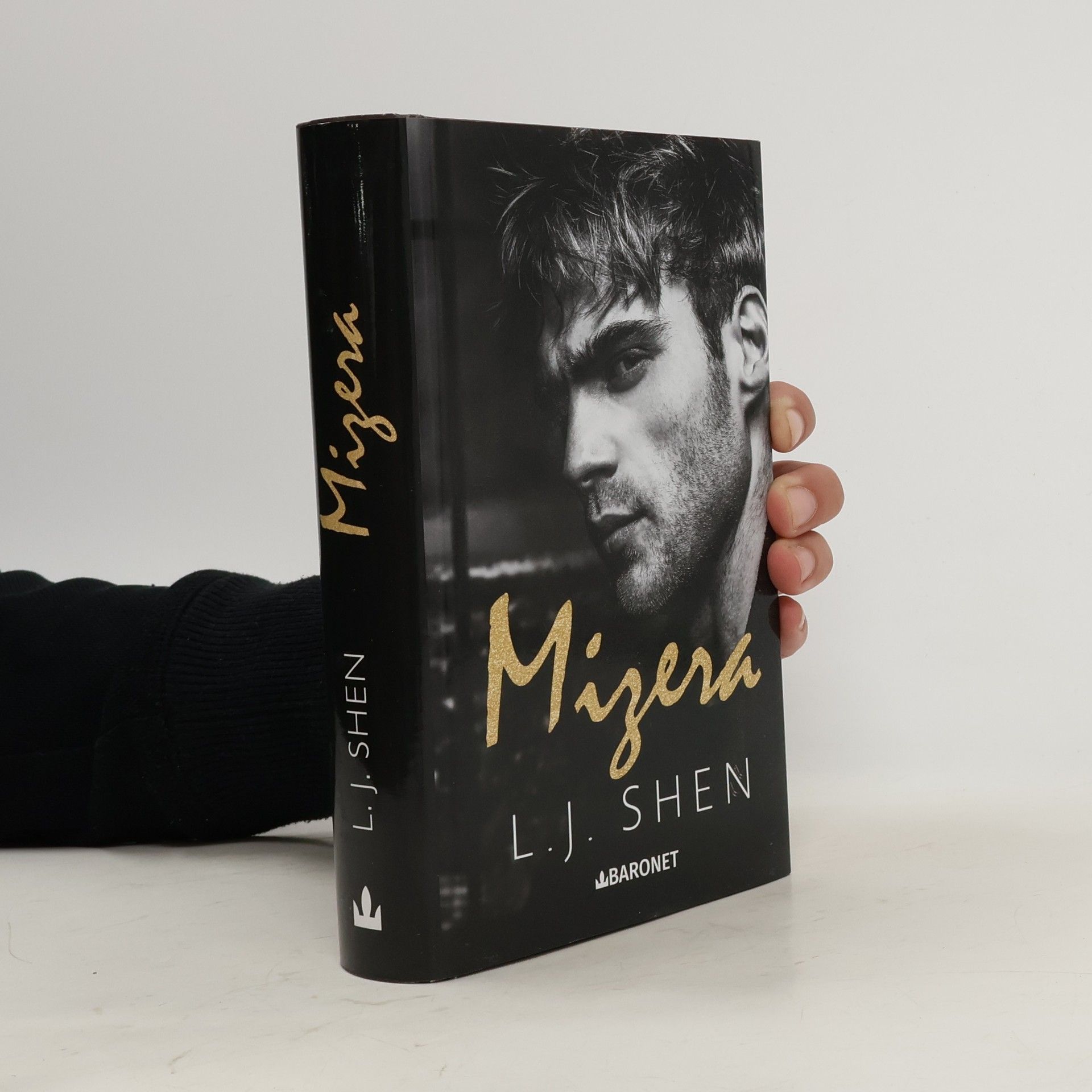 Darina Povolná Mizera