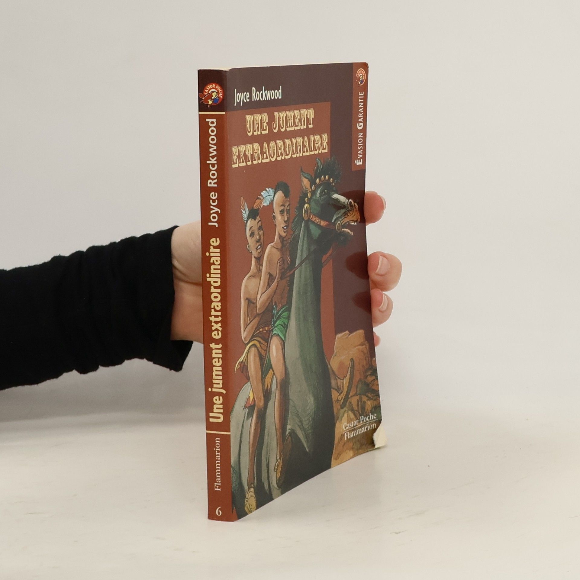 Une jument extraordinaire