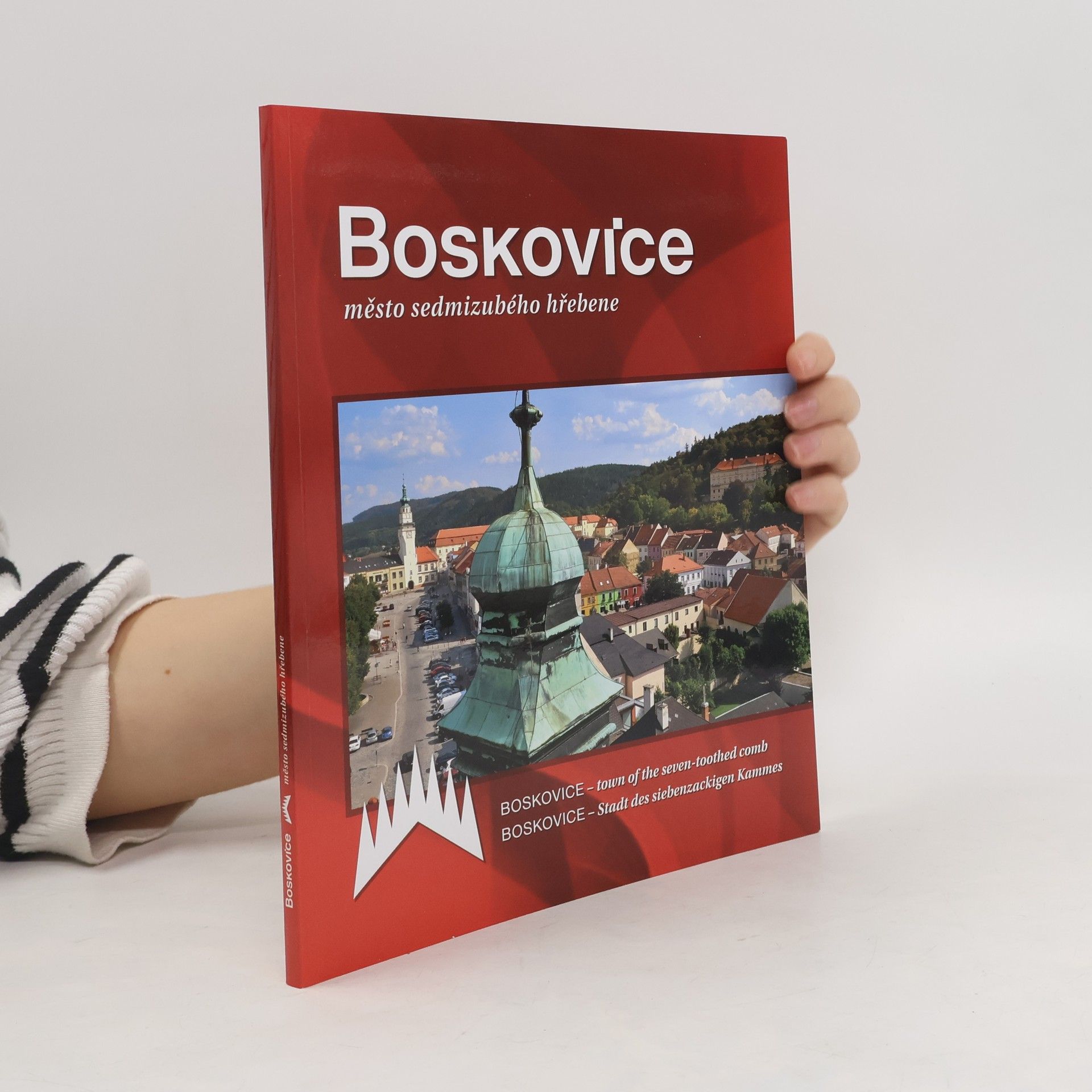 Kolektív autorov Boskovice - město sedmizubého hřebene