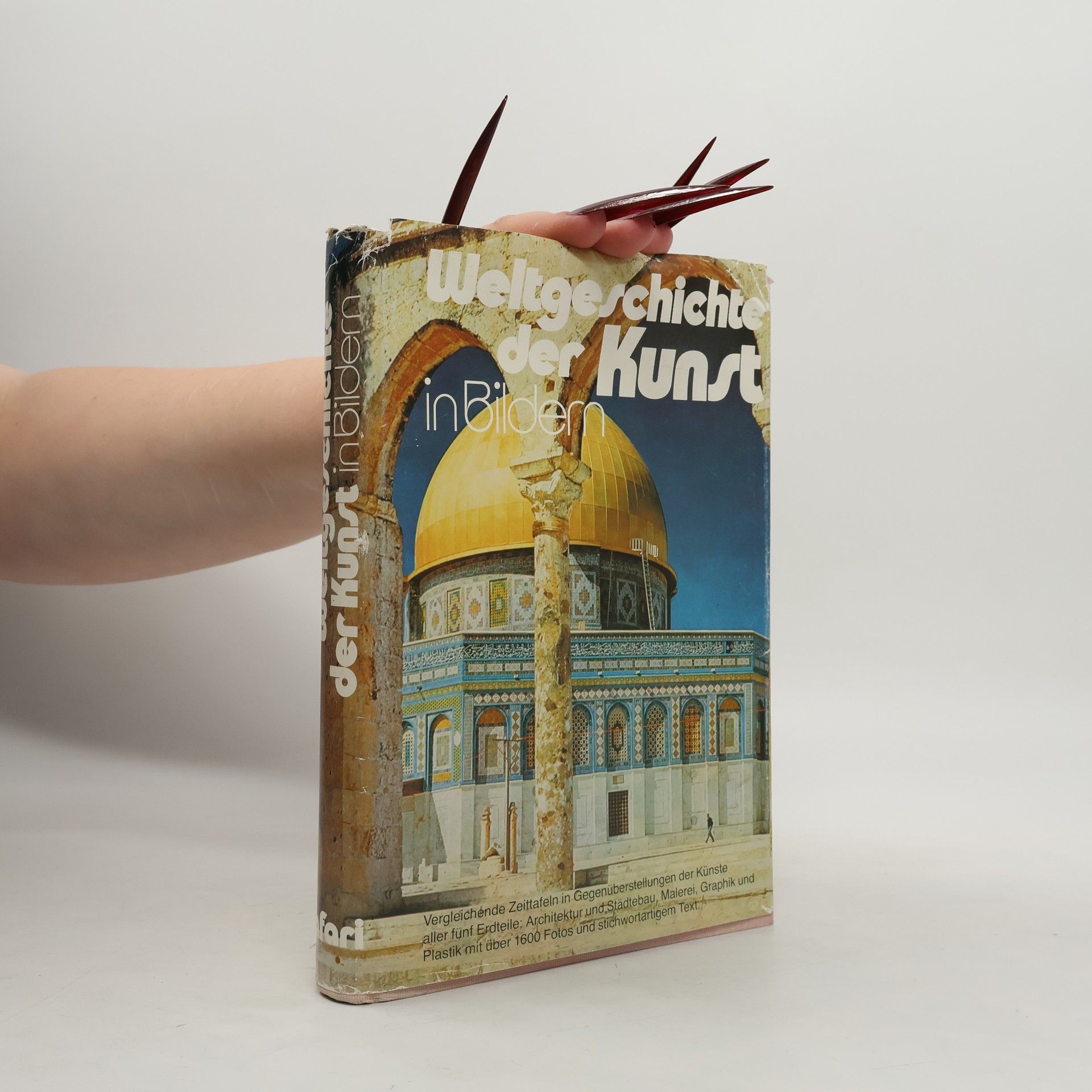 Kolektív autorov Weltgeschichte der Kunst in Bildern