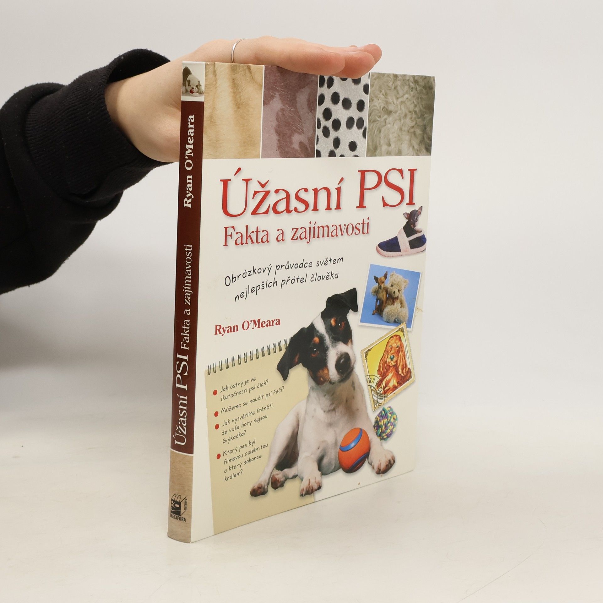 Ryan O. Meara Úžasní psi. Fakta a zajímavosti