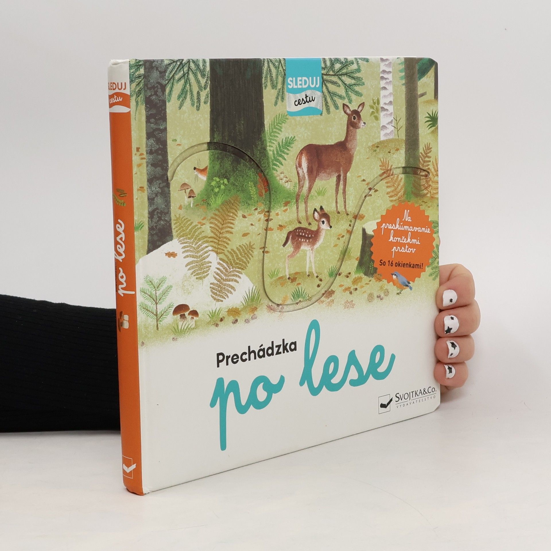 Kolektív autorov Precházka po lese