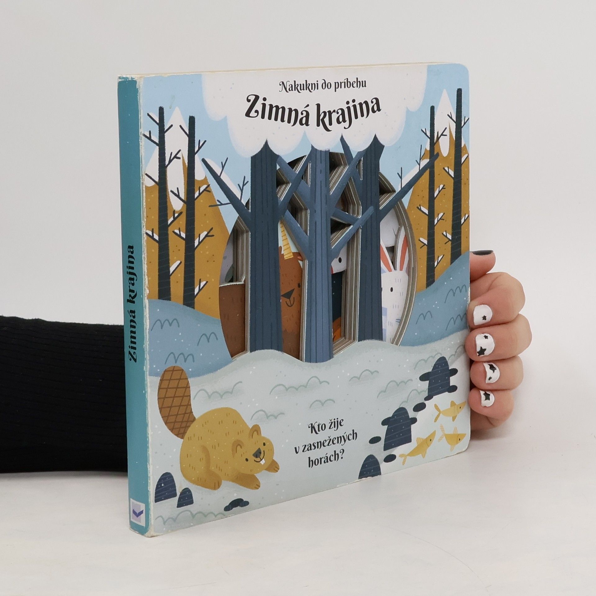 Auteurscollectief Zimná krajina