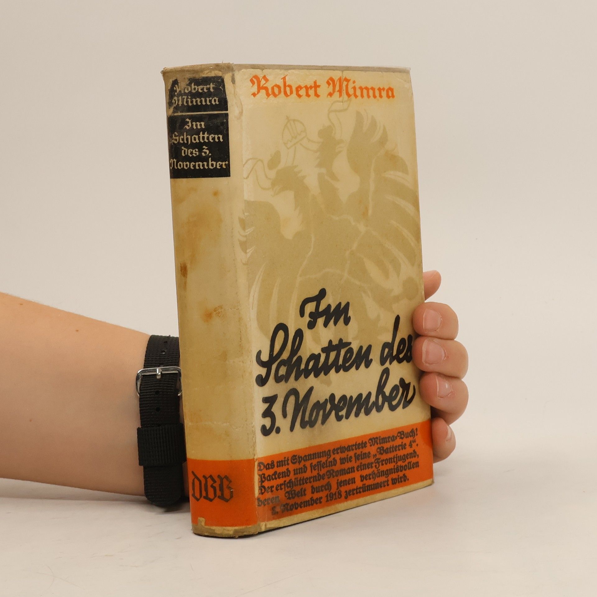 Im Schatten des 3. November