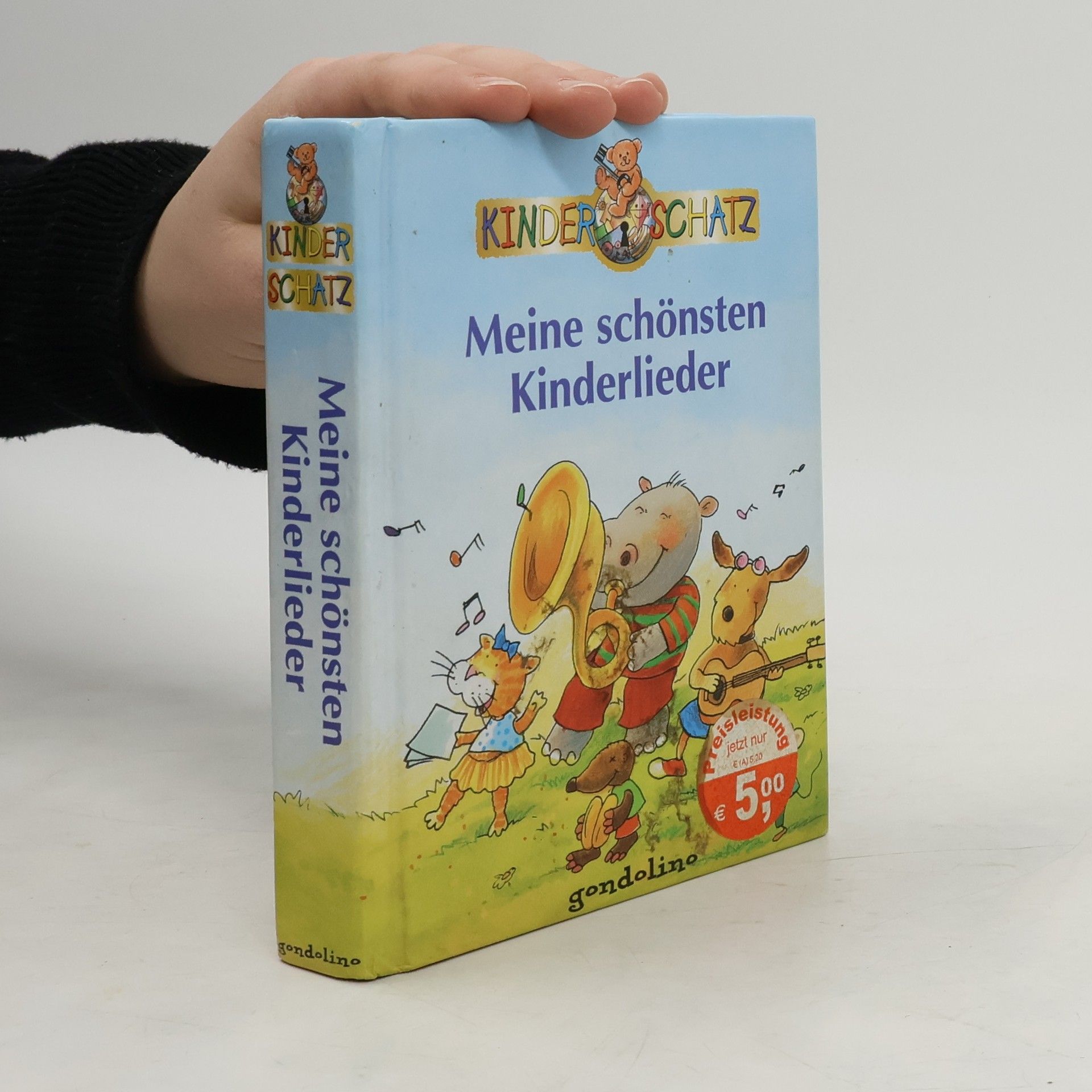 Autorenkollektiv Meine schönsten Kinderlieder