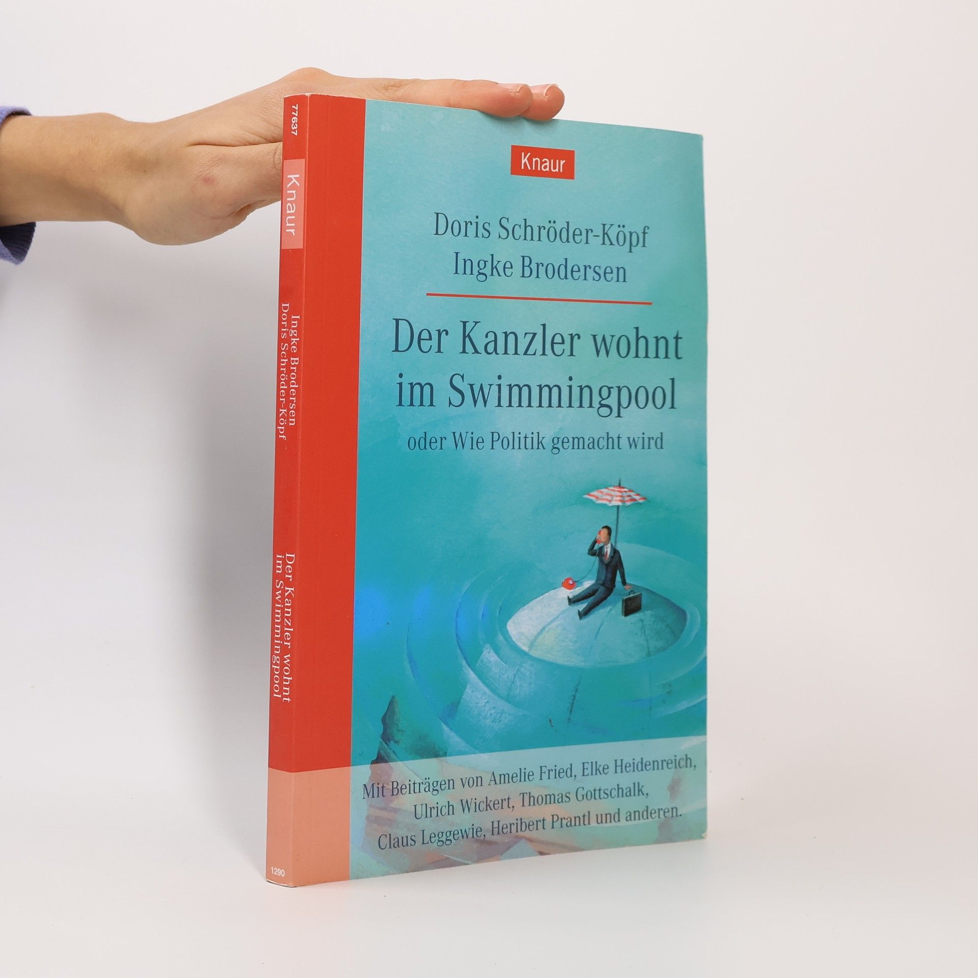 Der Kanzler wohnt im Swimmingpool oder wie Politik gemacht wird