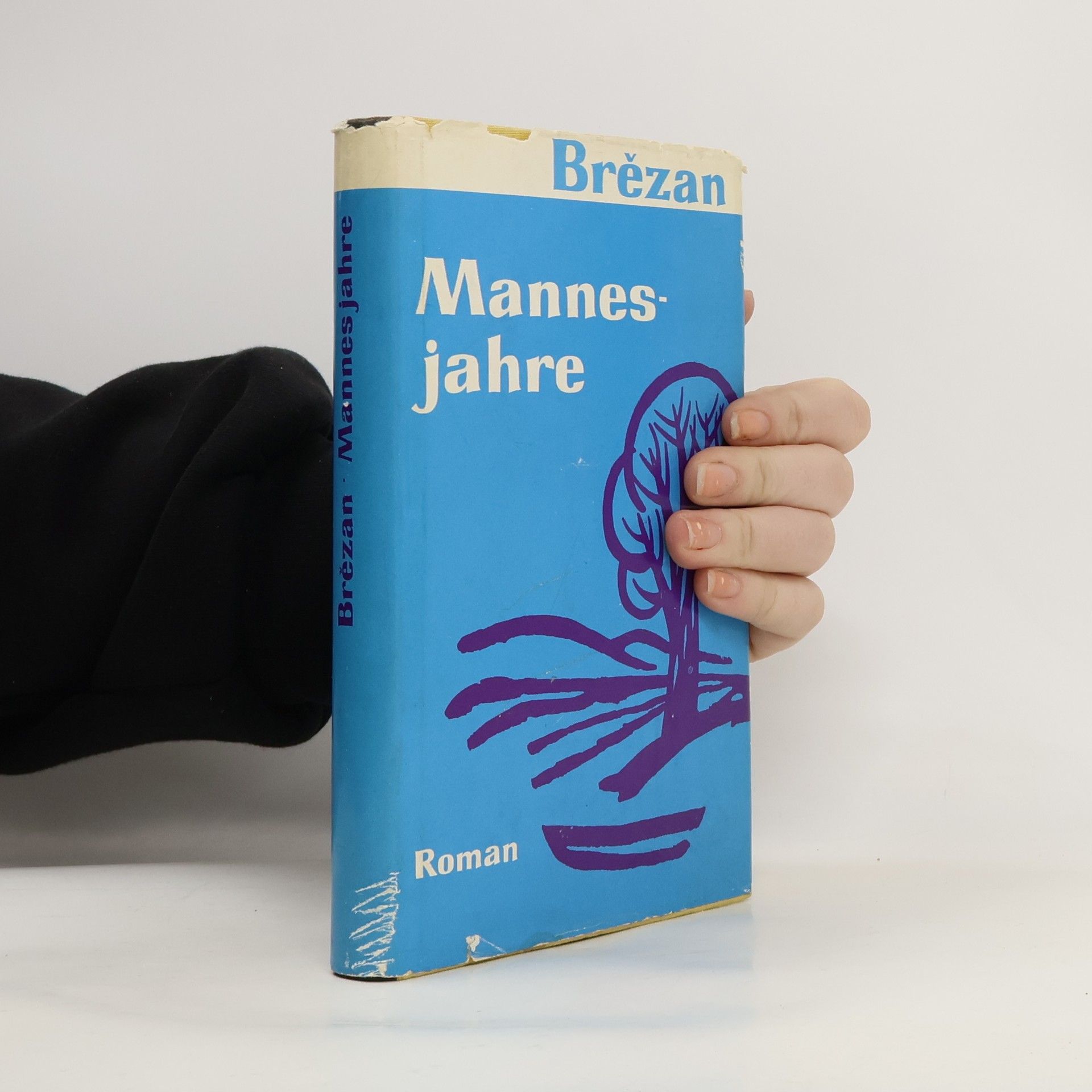 Jurij Brězan Mannesjahre
