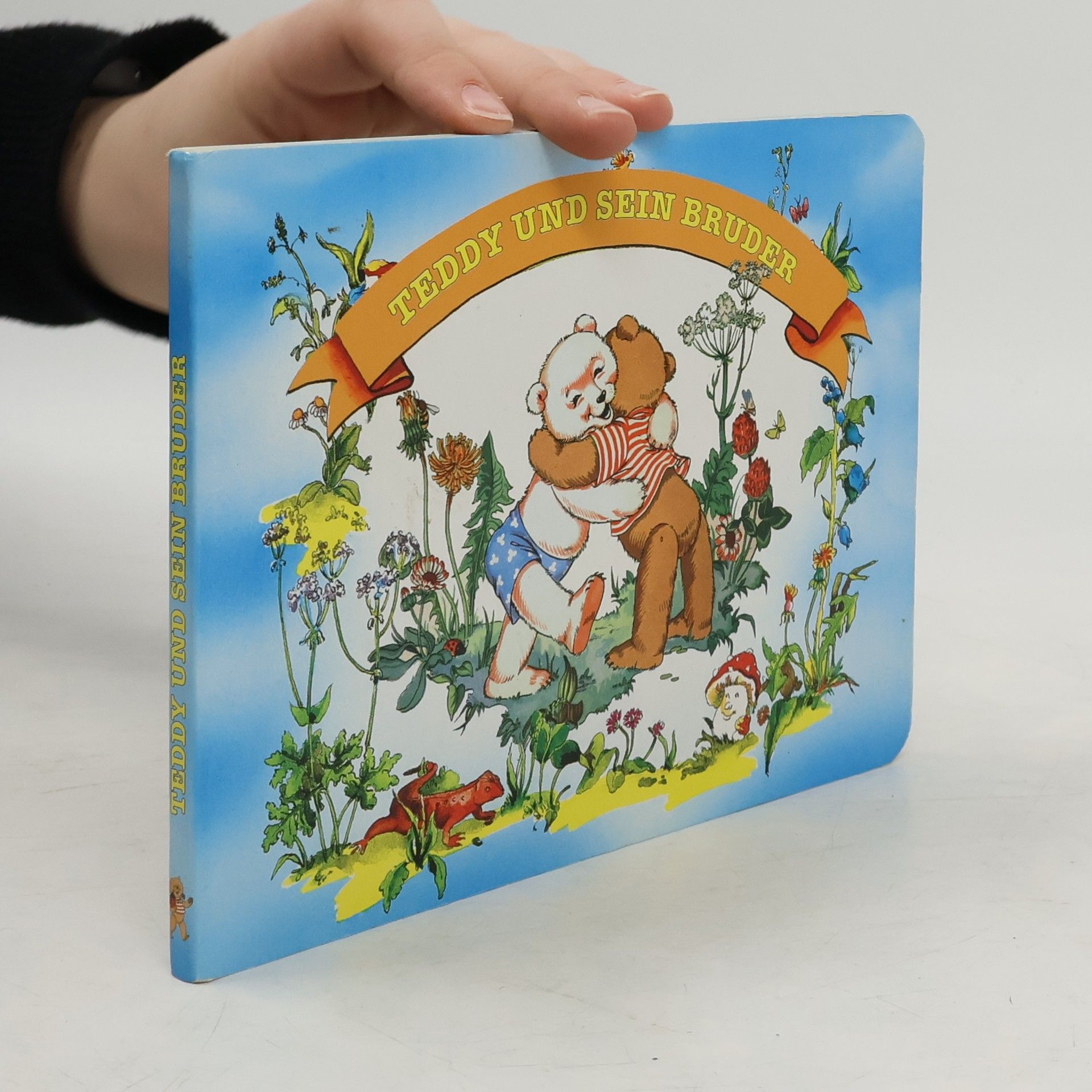 Teddys Abenteuer. Teddy und sein Bruder