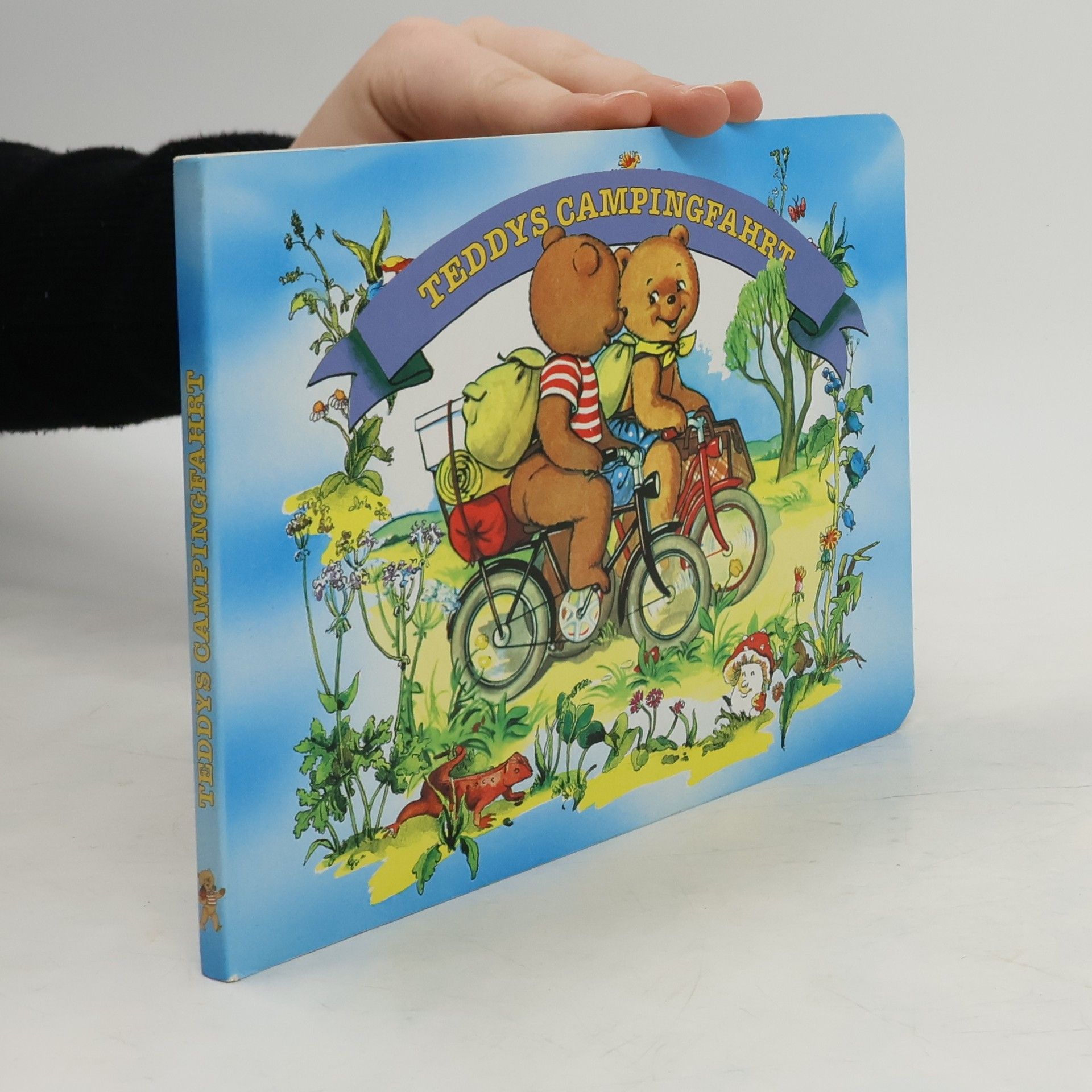 Teddys Abenteuer: Teddys Campingfahrt