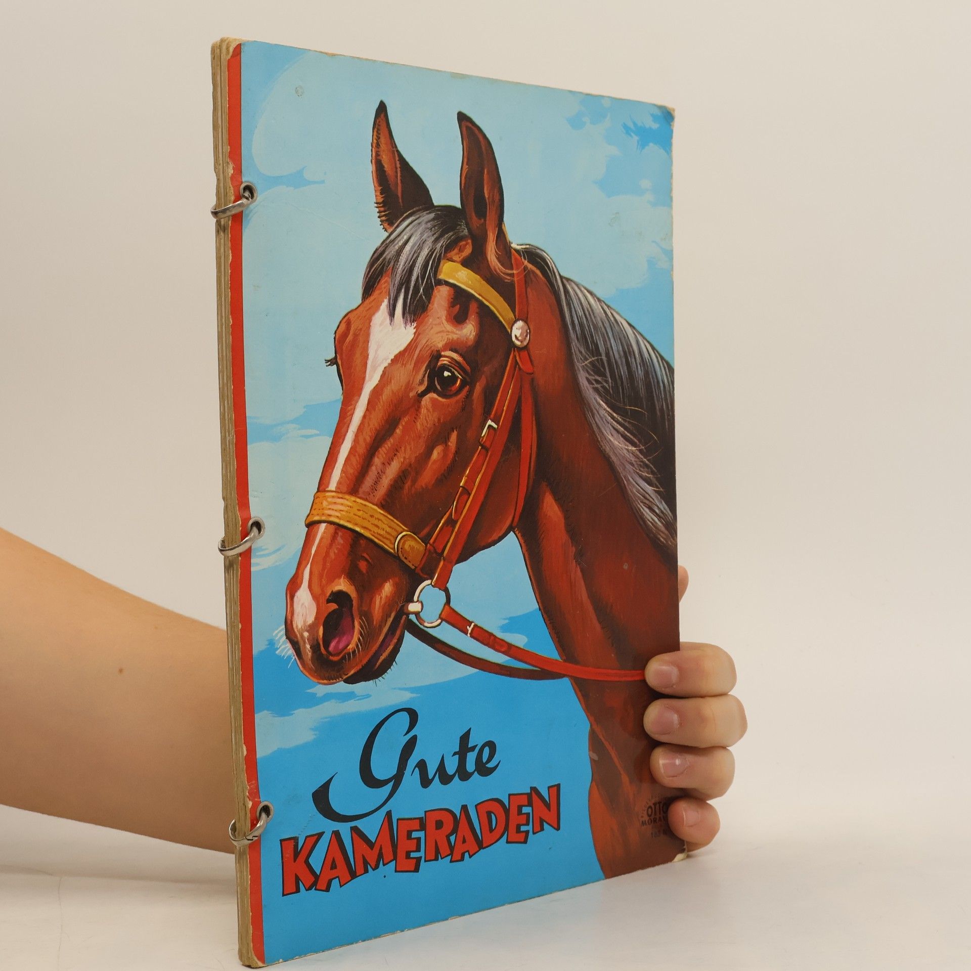 Kolektiv autorů Gute Kameraden