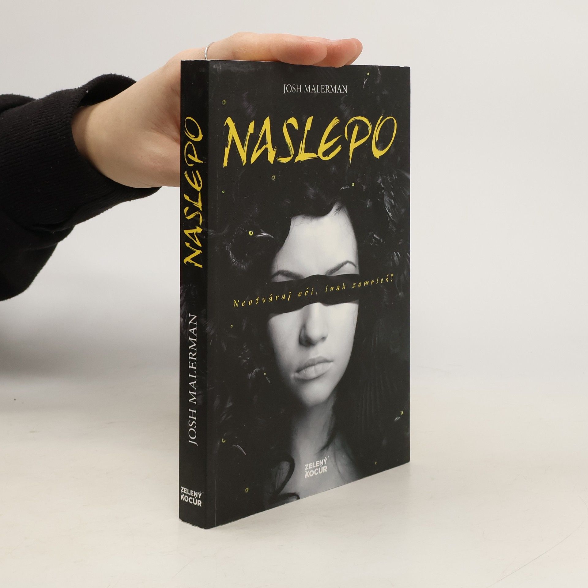 Josh Malerman Naslepo