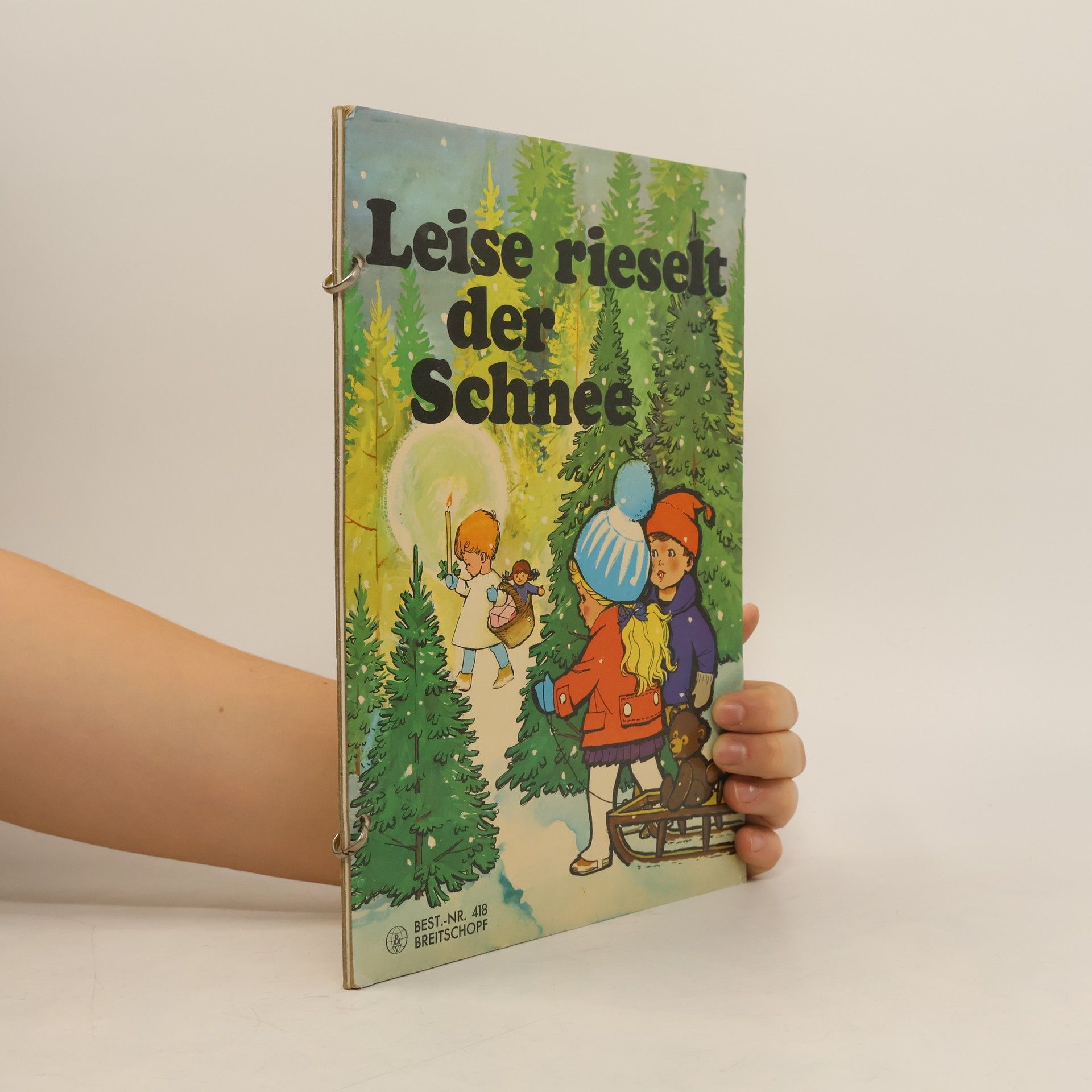 Kolektiv autorů Leise rieselt der Schnee