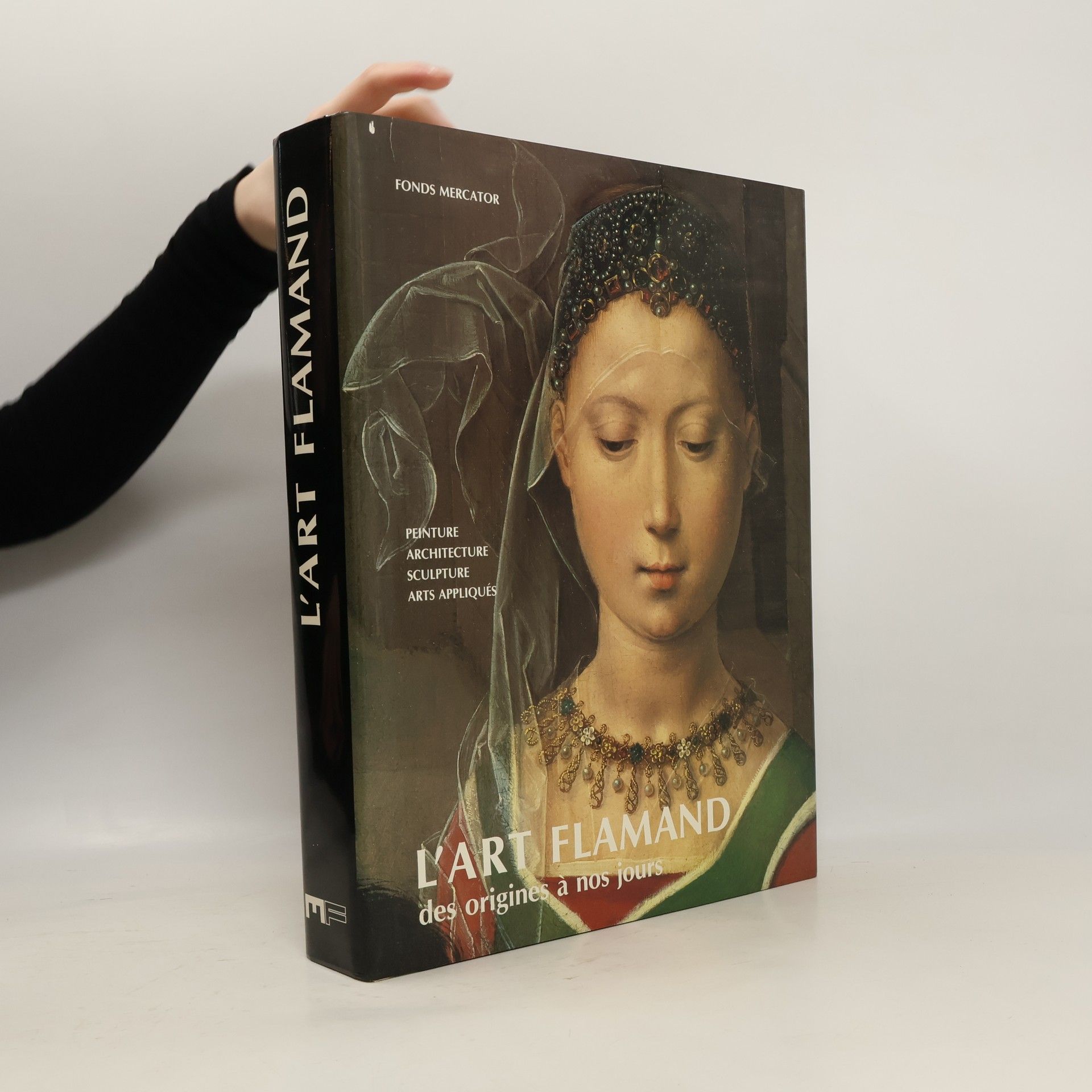 Piet Baudouin L'art flamand