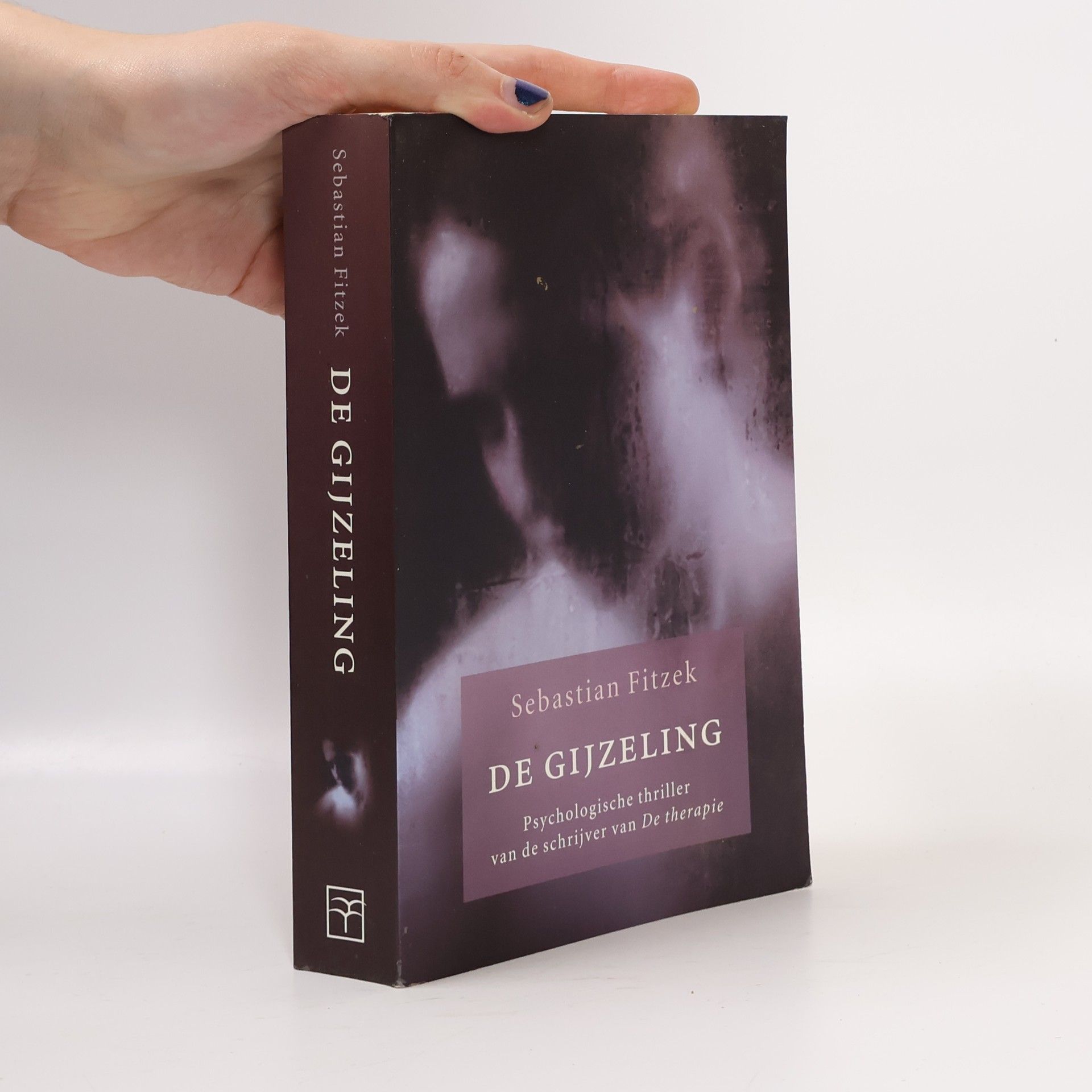 Annemarie Vlaming De gijzeling