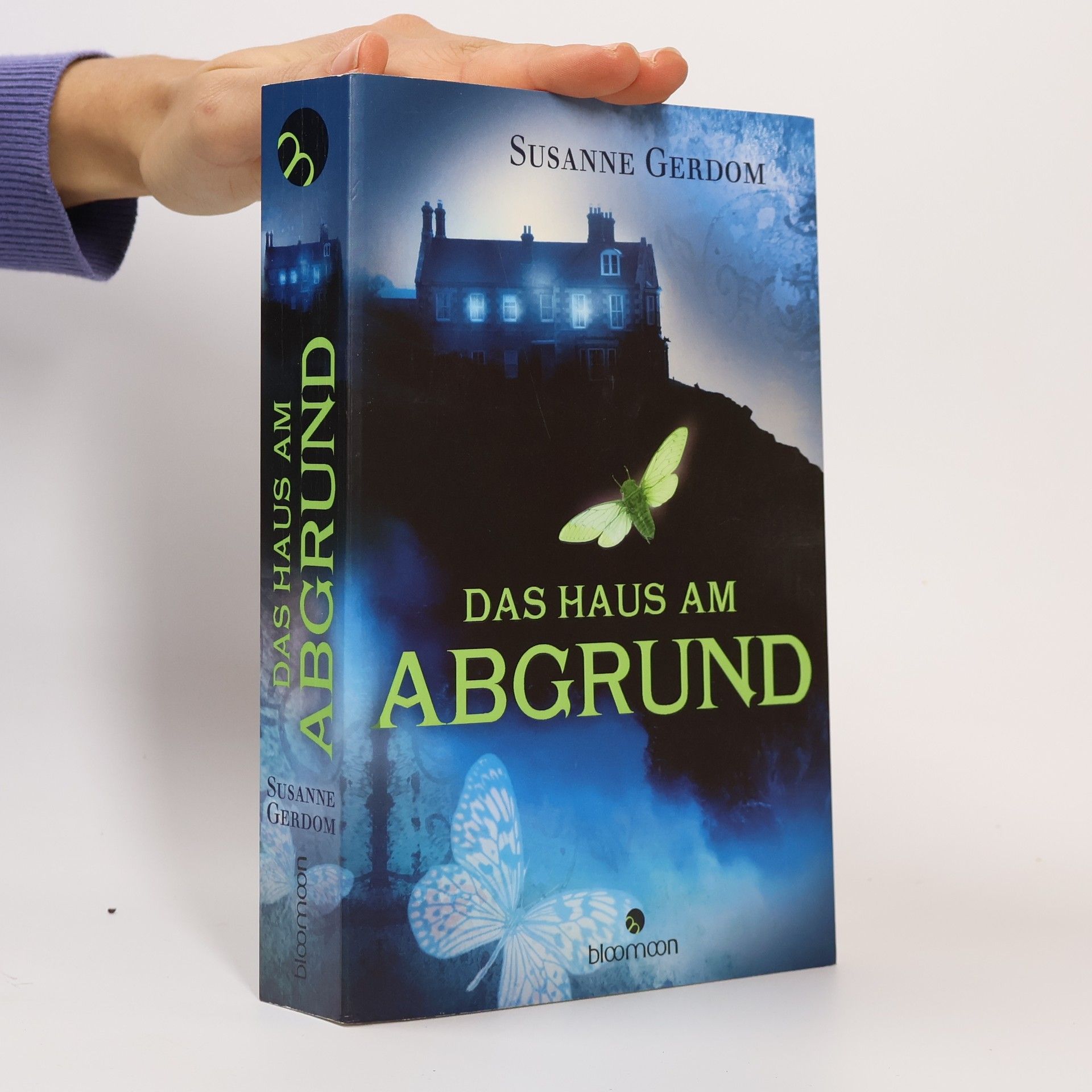 Susanne Gerdom Das Haus am Abgrund