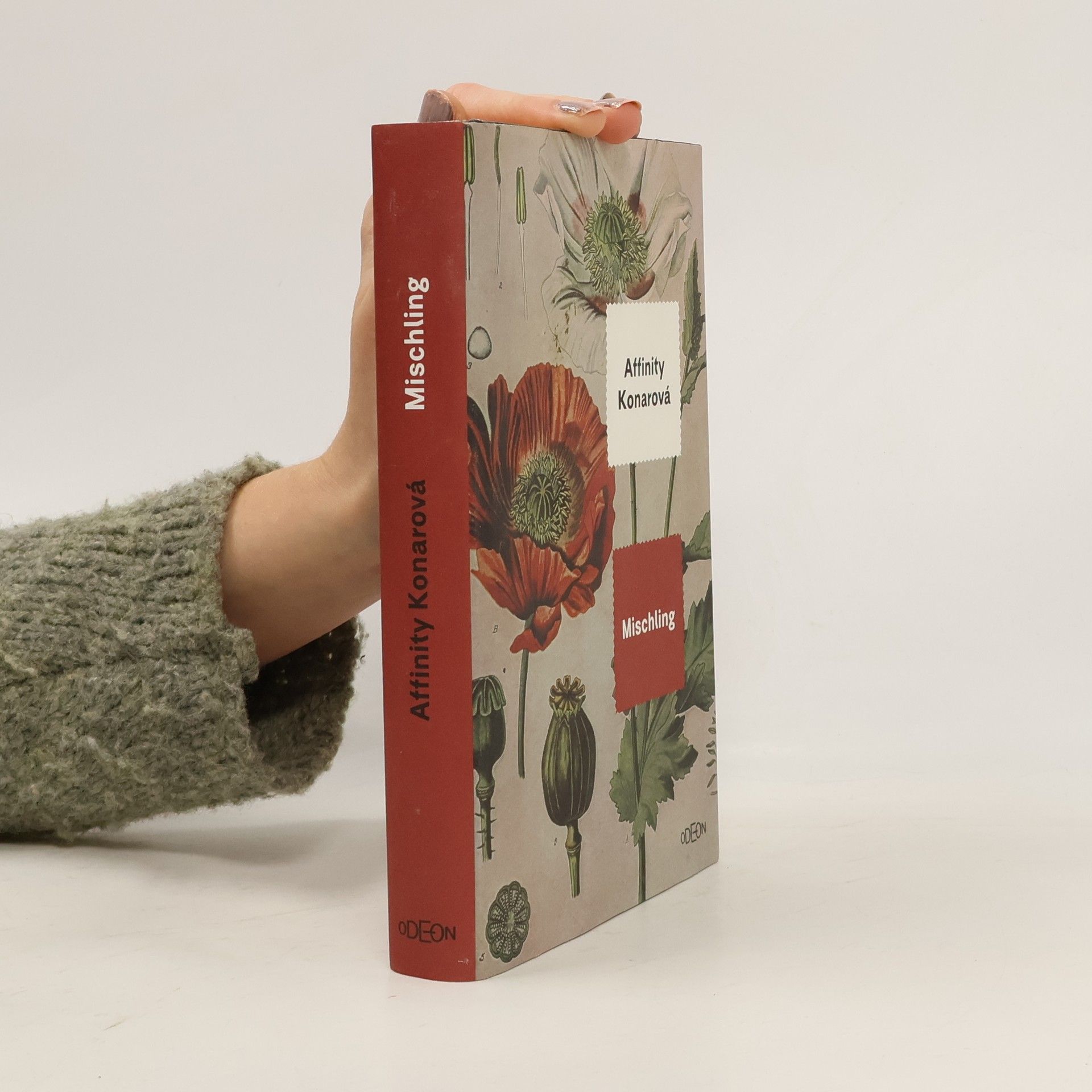 Affinity Konar Mischling