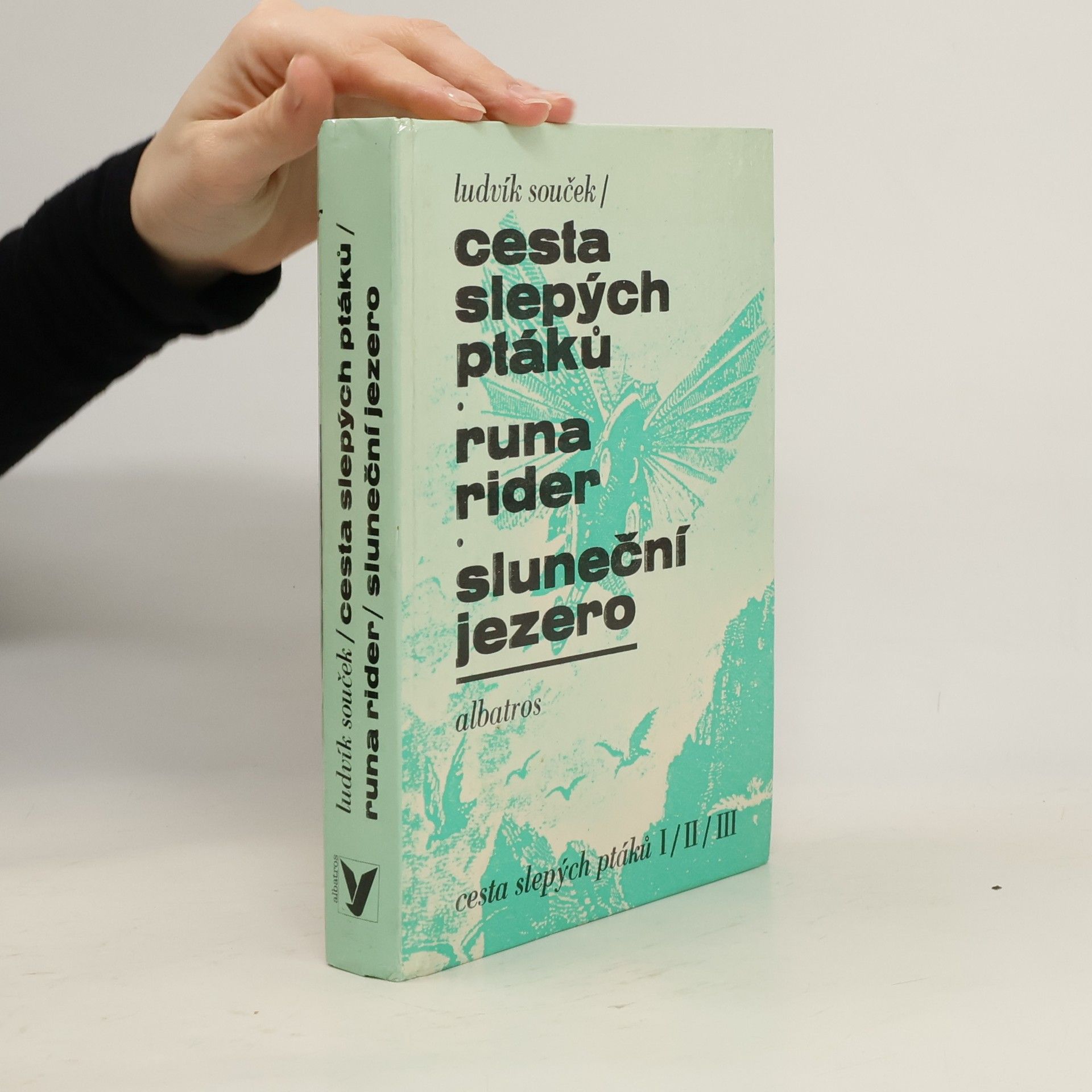 Ludvík Souček Cesta slepých ptáků, Runa rider, Sluneční jezero