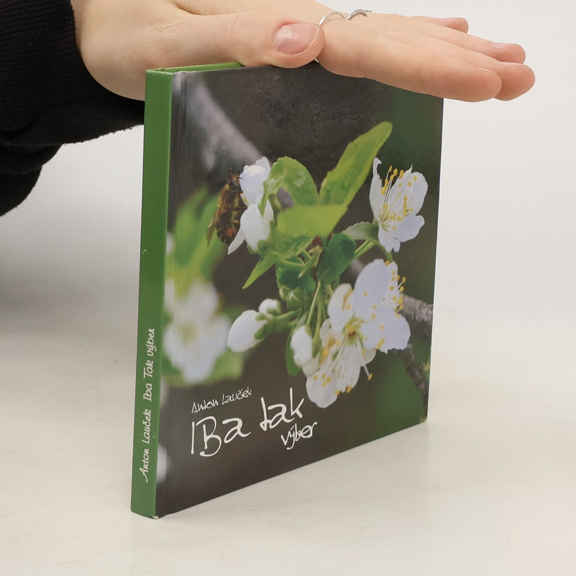 Anton Lauček Iba tak (výber)