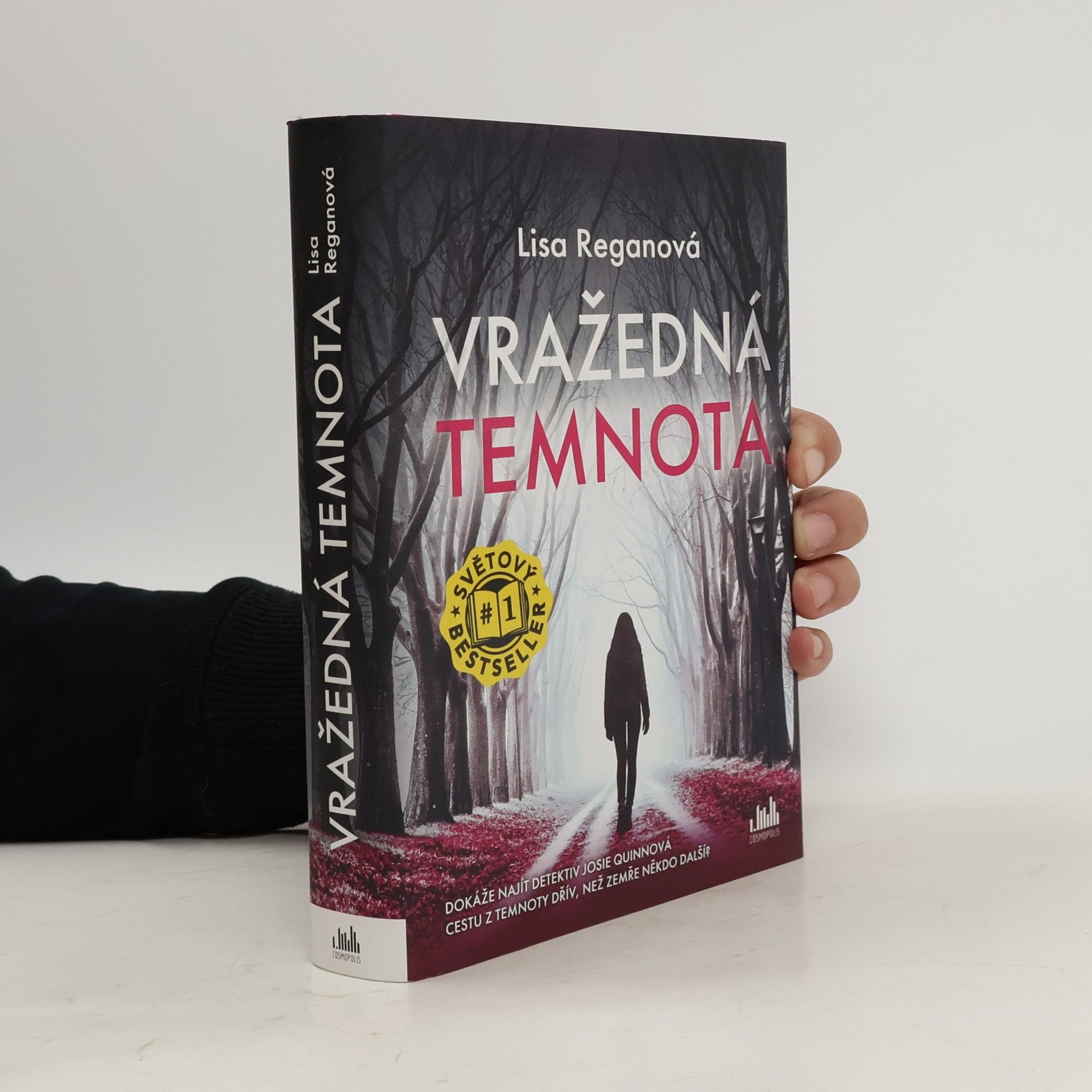 Lisa Regan Vražedná temnota