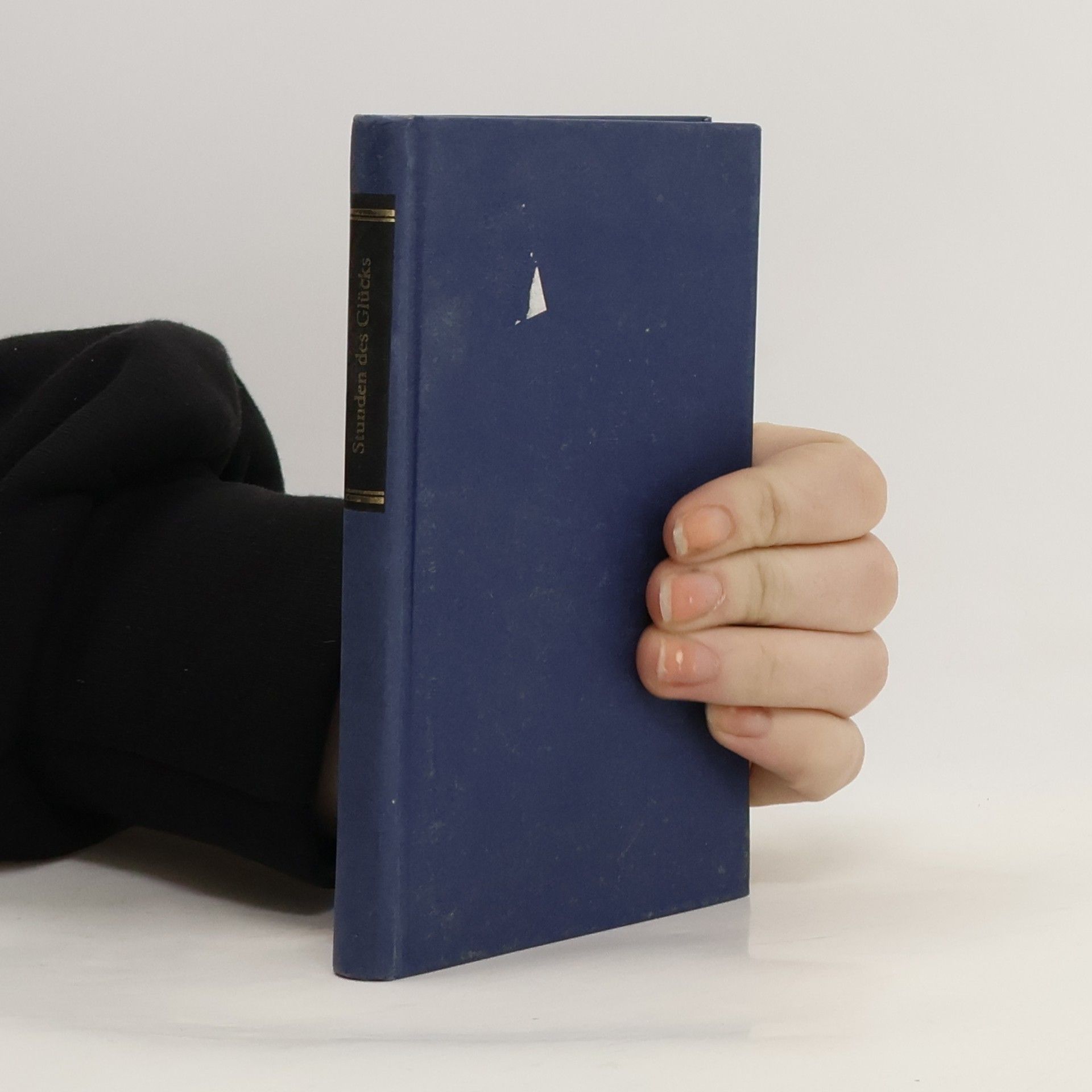 Kolektiv autorů Stunden des Glücks