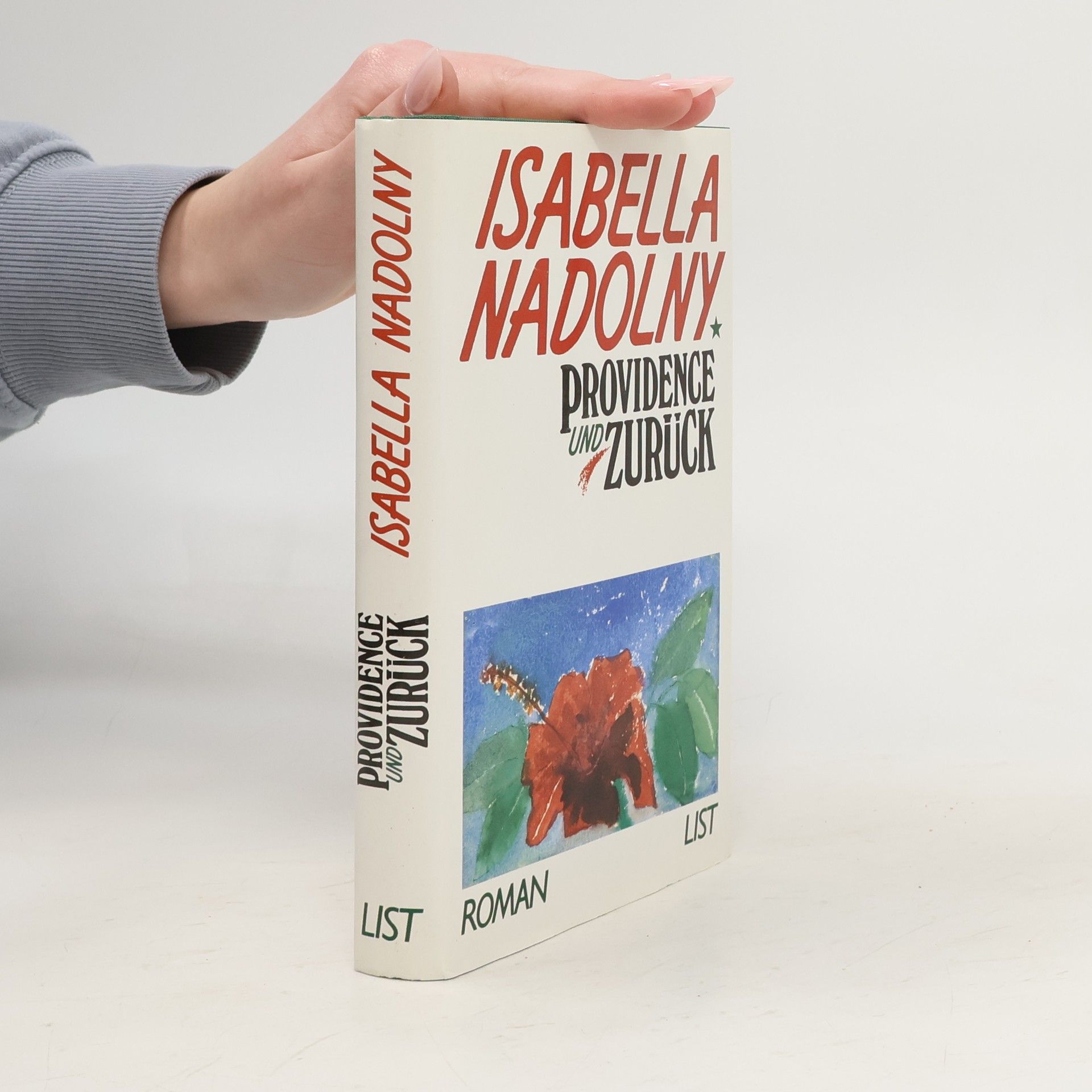 Isabella Peltzer Providence und zurück. Roman