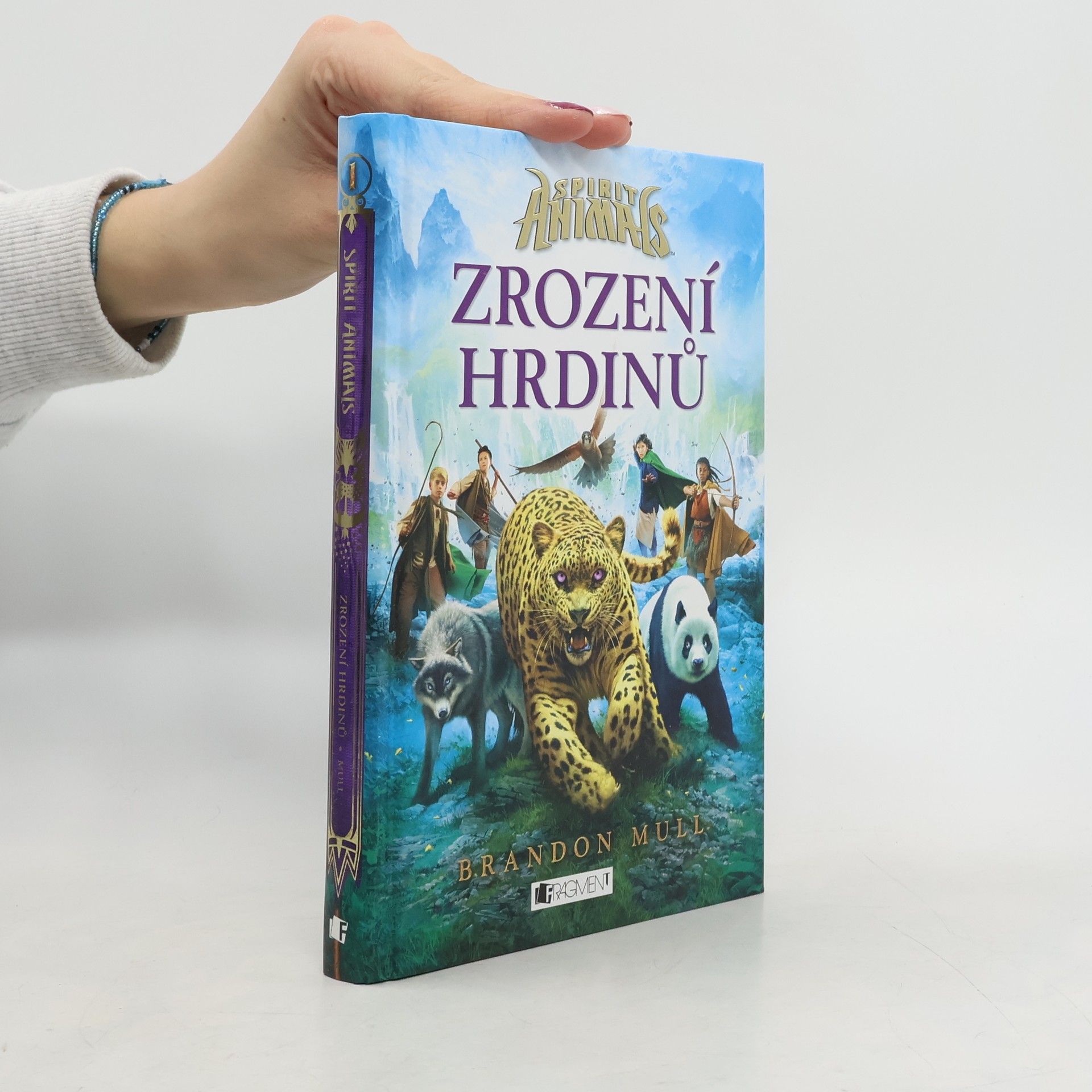 Brandon Mull Zrození hrdinů