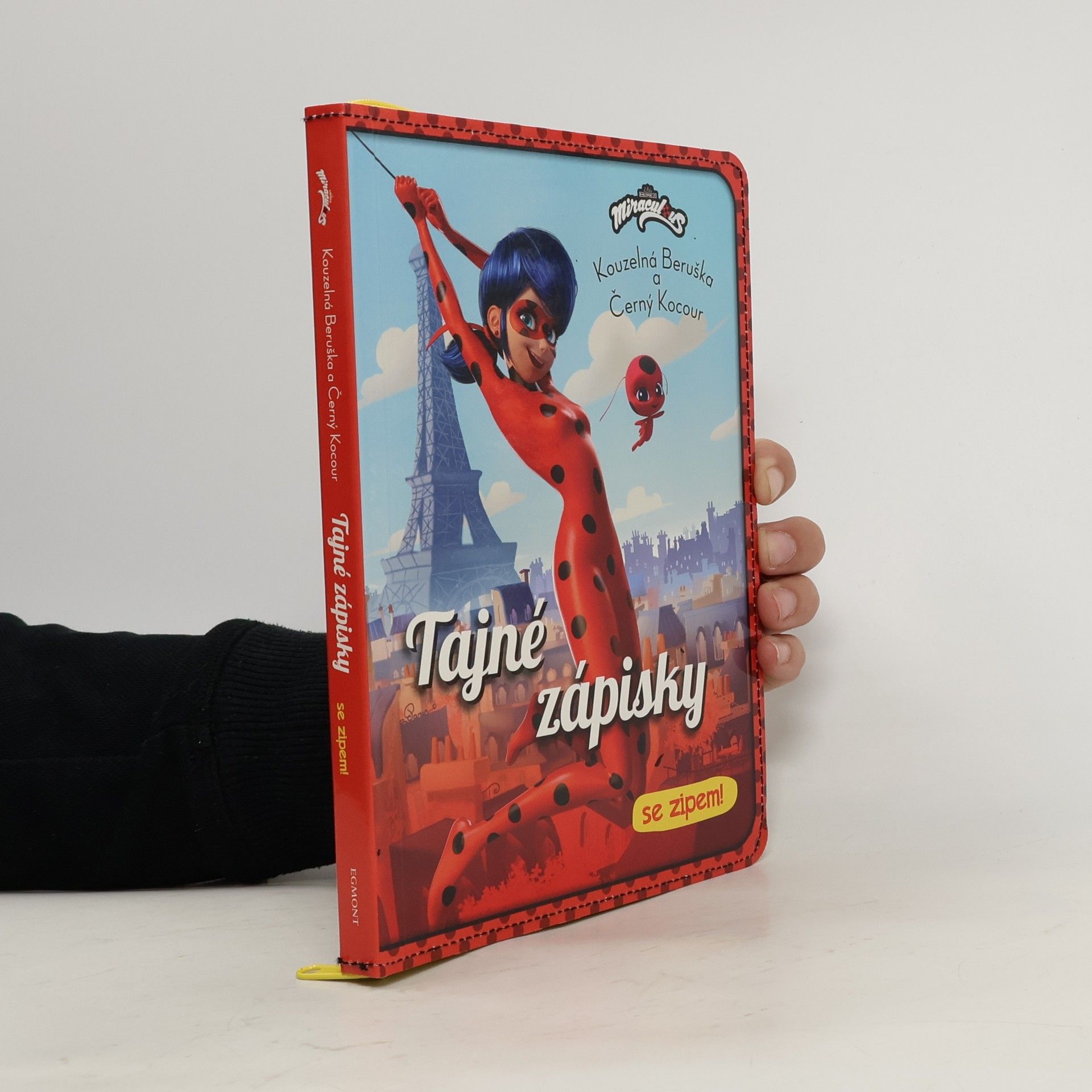 Tereza Siglová Kouzelná Beruška a Černý kocour. Tajné zápisky se zipem!