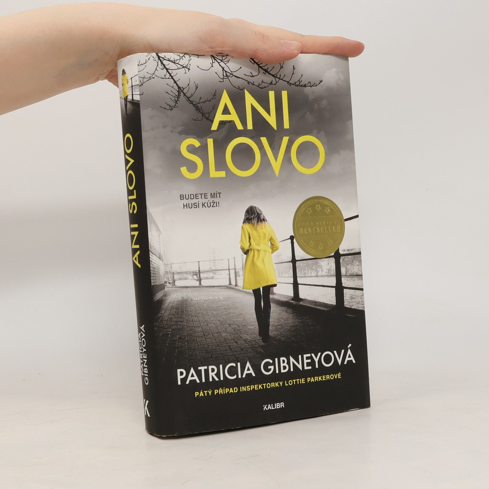 Patricia Gibney Ani slovo