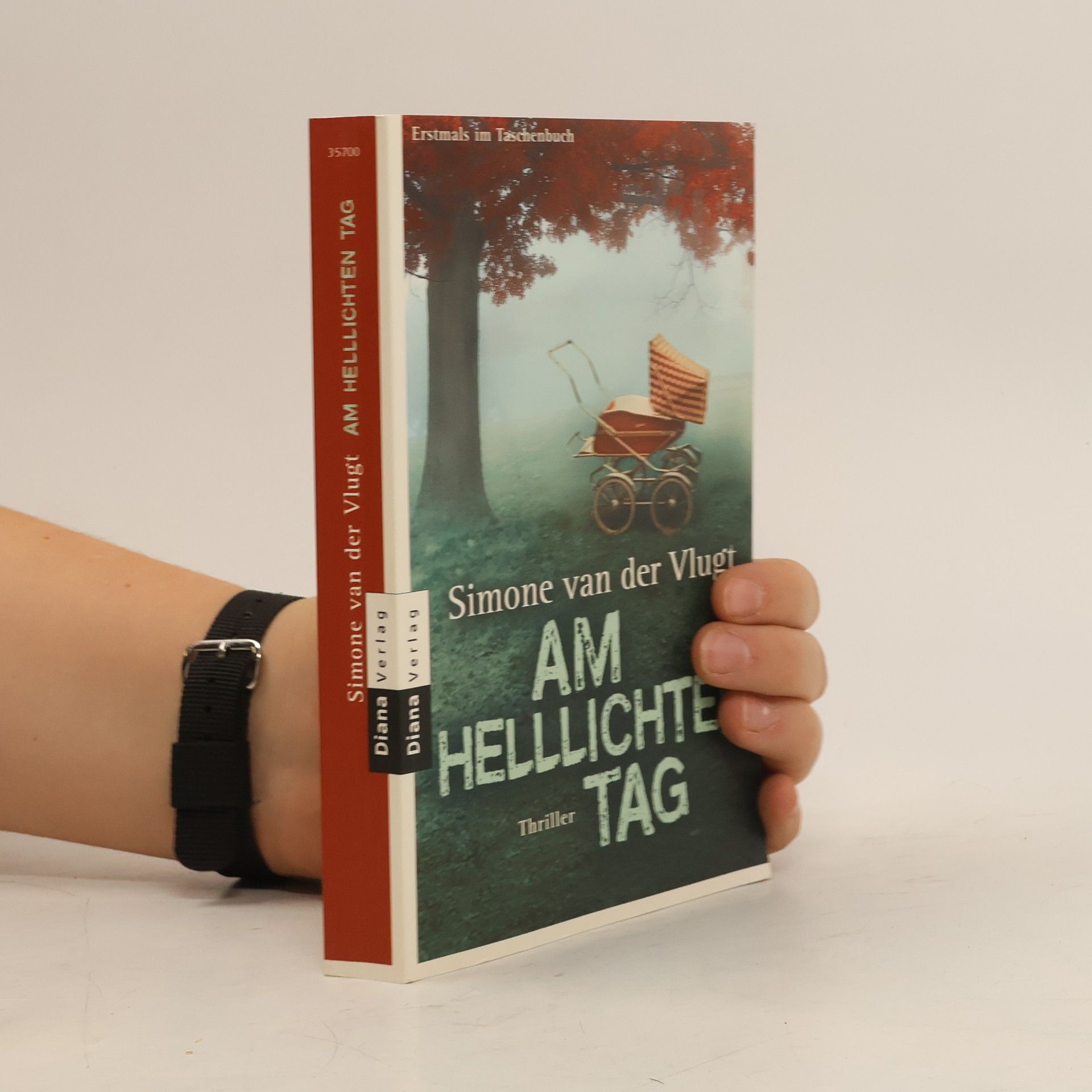 Simone van der Vlugt Am helllichten Tag