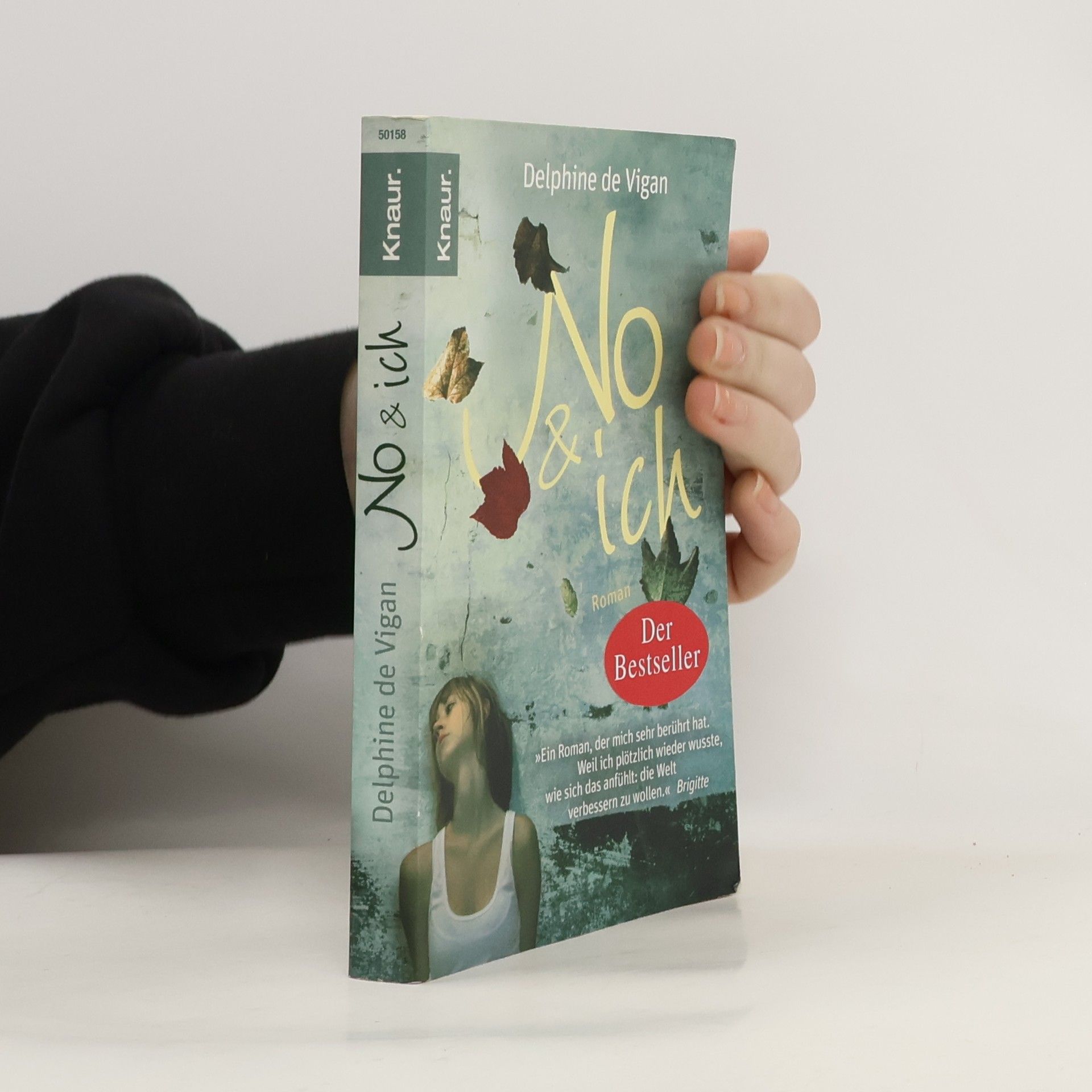 Delphine de Vigan No & ich