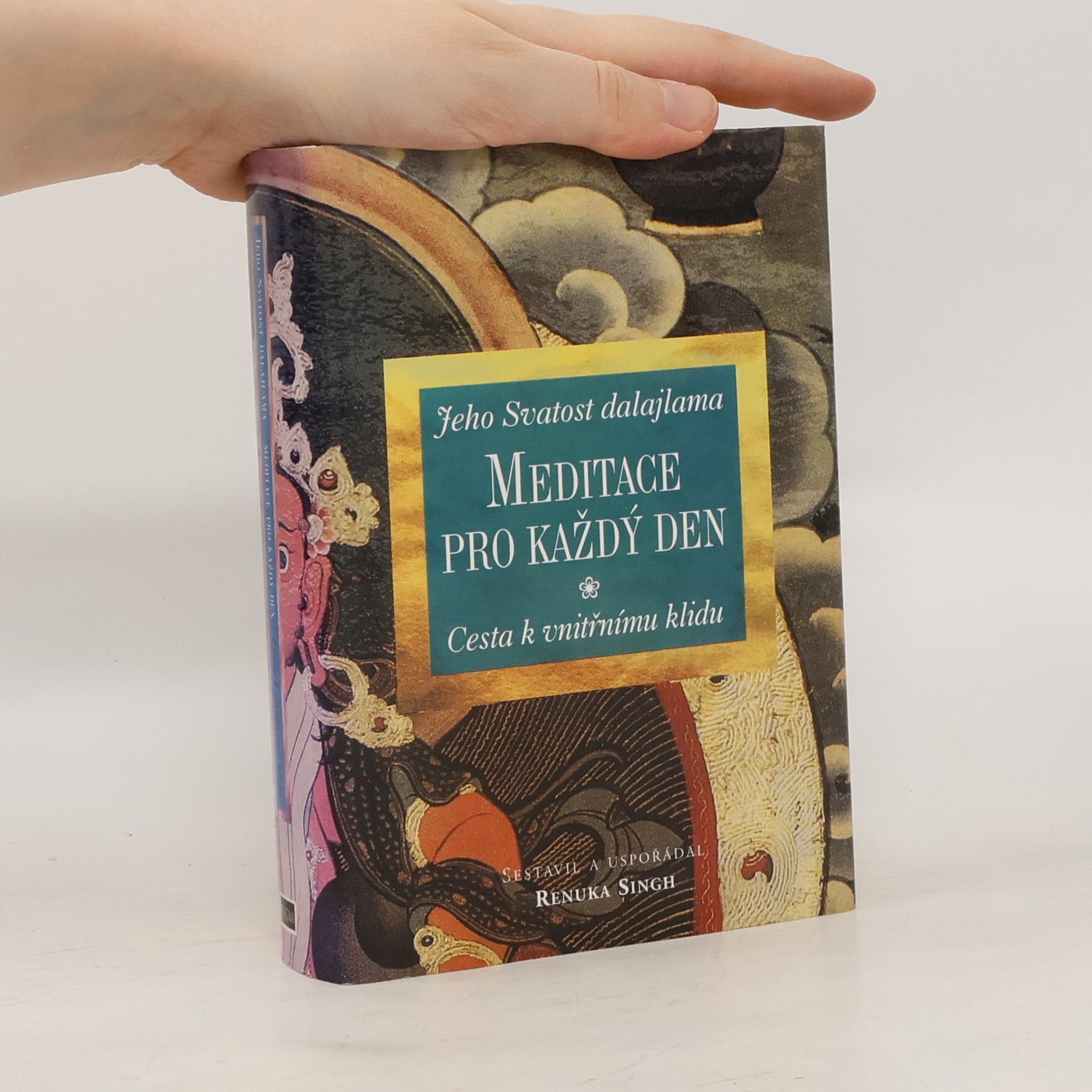 Renuka Singh Meditace pro každý den. cesta k vnitřnímu klidu