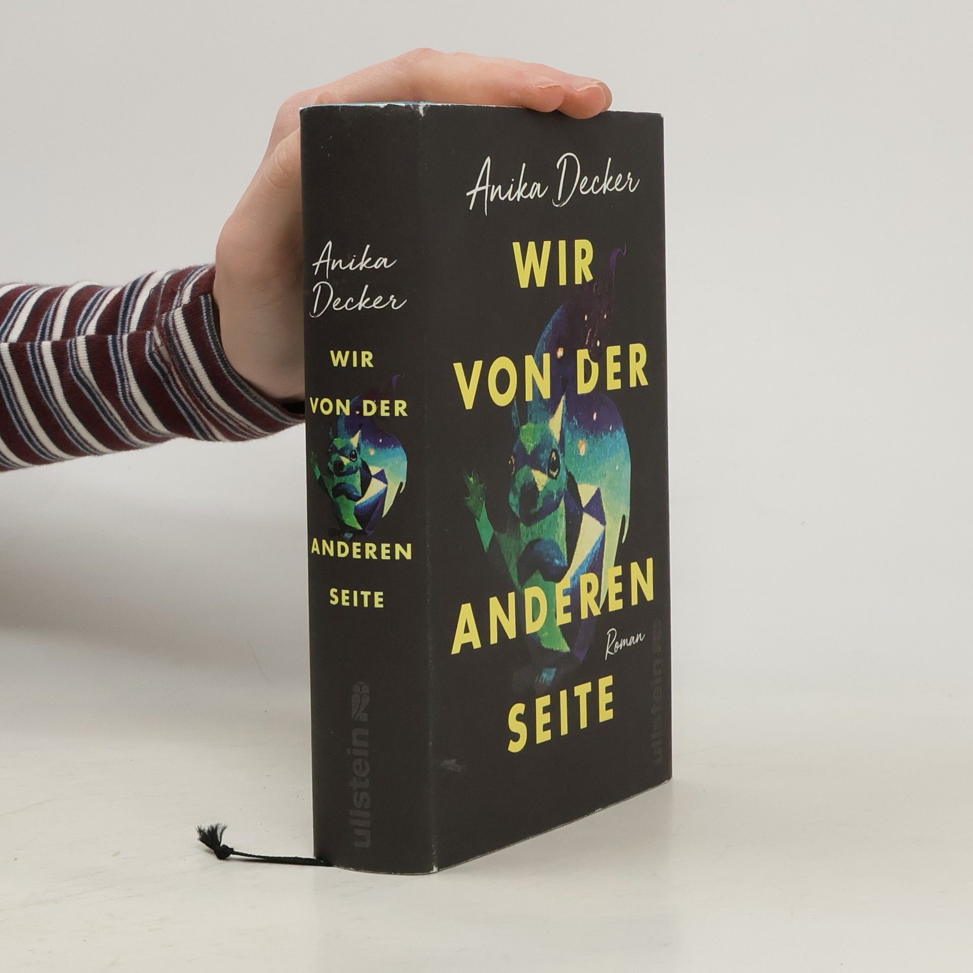 Anika Decker Wir von der anderen Seite