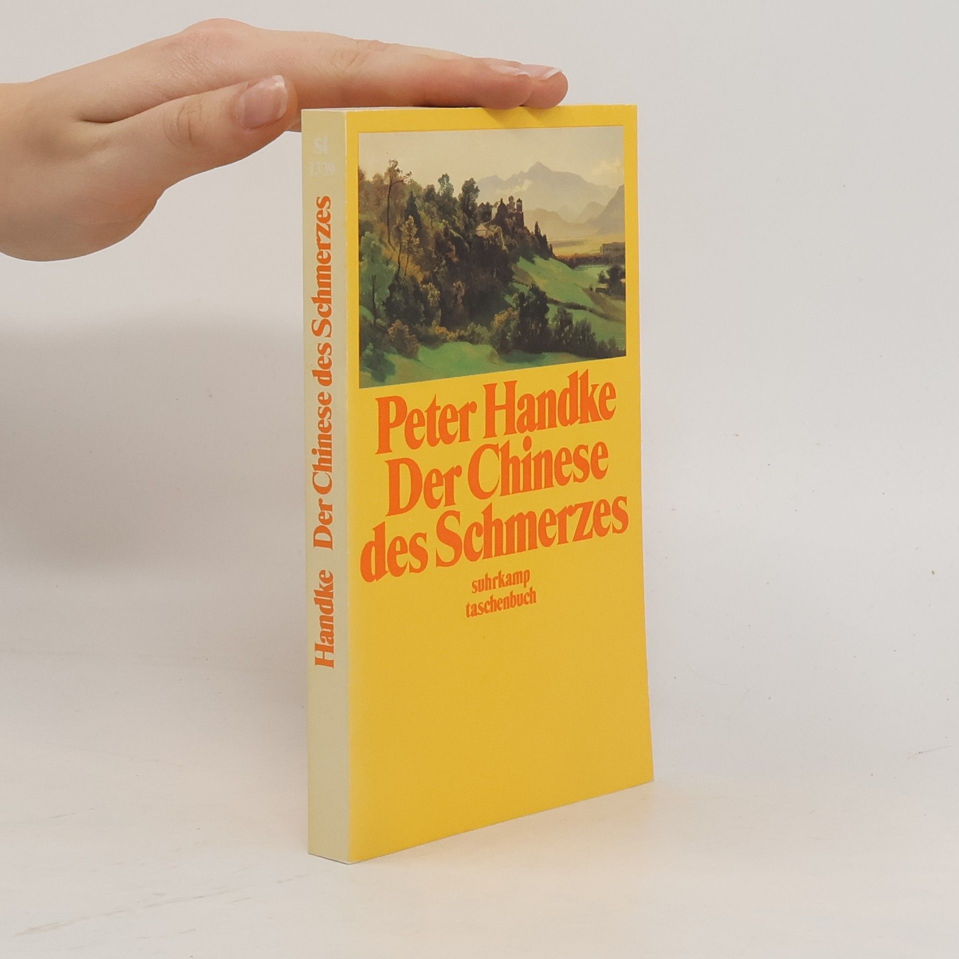 Peter Handke Der Chinese des Schmerzes
