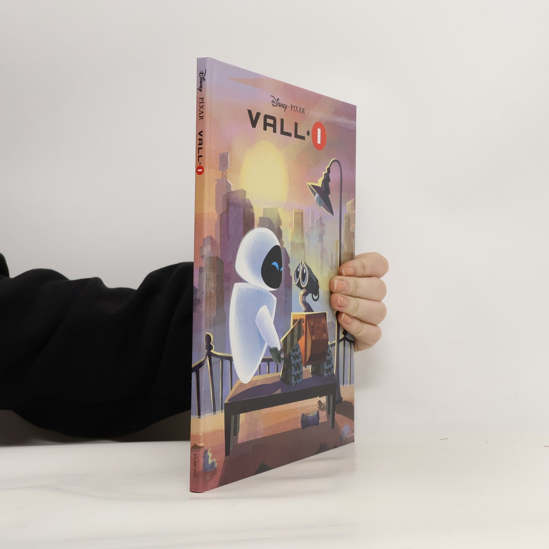 Kolektiv autorů Vall-I