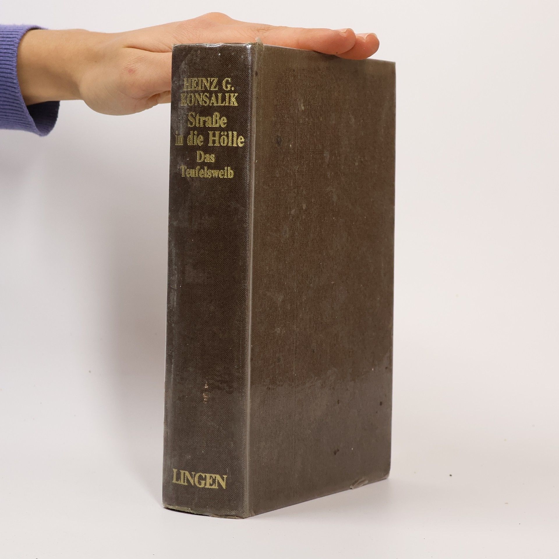 Heinz G. Konsalik Straße in die Hölle. Das Teufelsweib