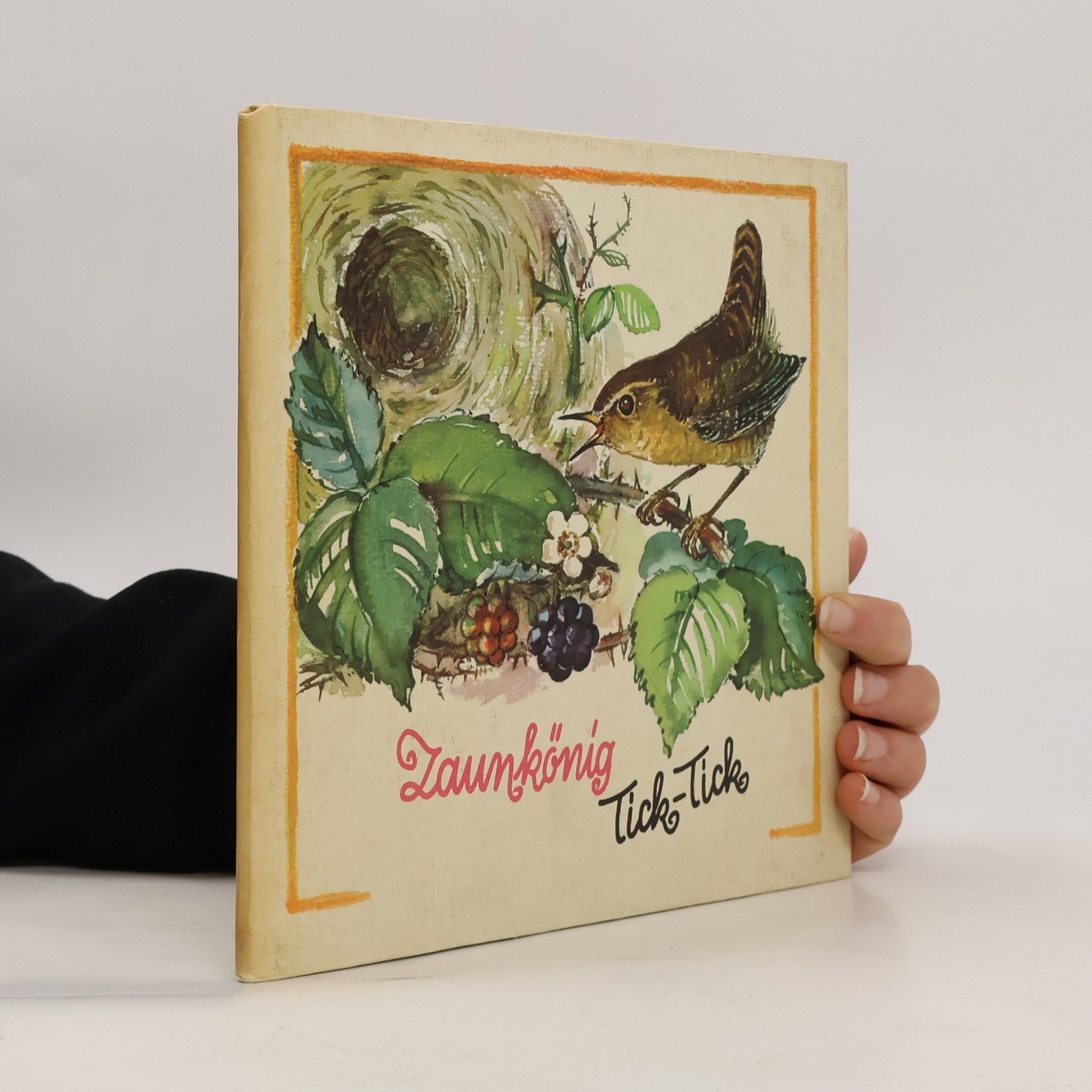 Zaunkönig Tick-Tack