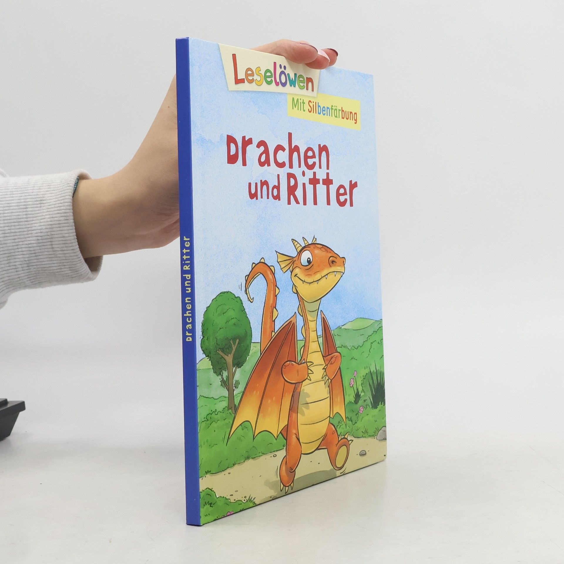 Autorenkollektiv Drachen und Ritter