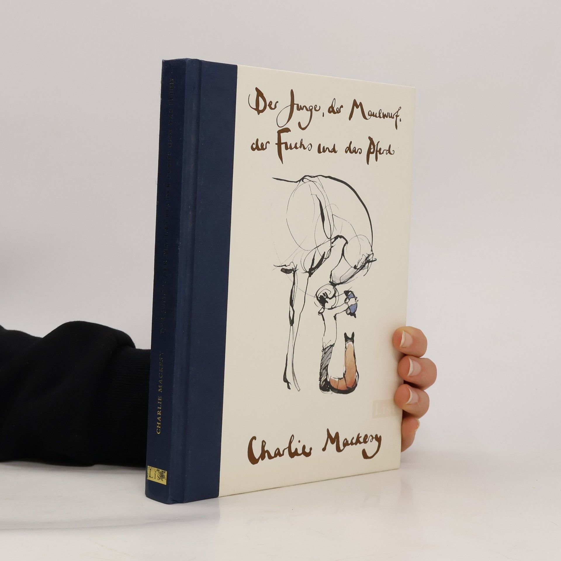 Der Junge, der Maulwurf, der Fuchs und das Pferd