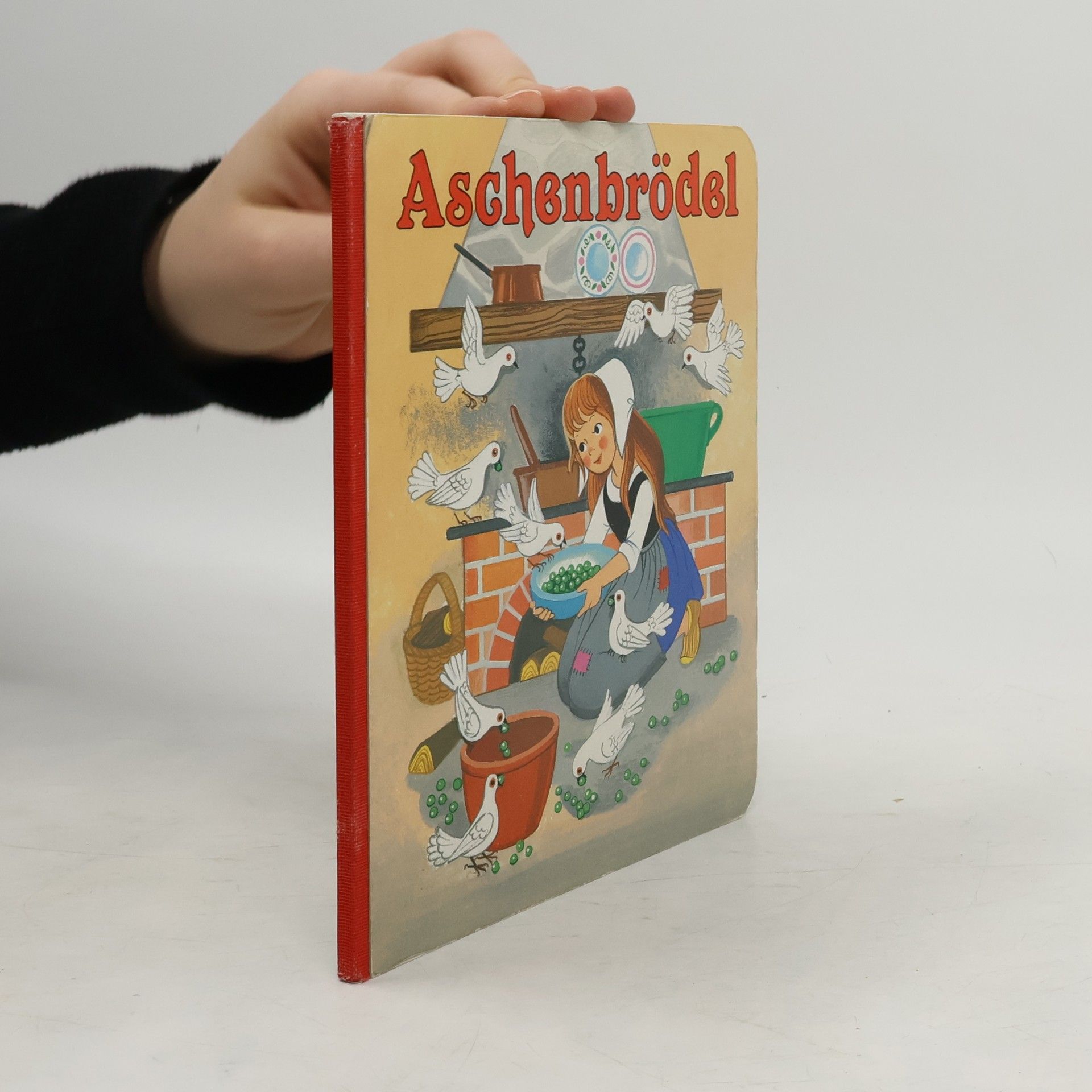 Autorenkollektiv Aschenbrödel